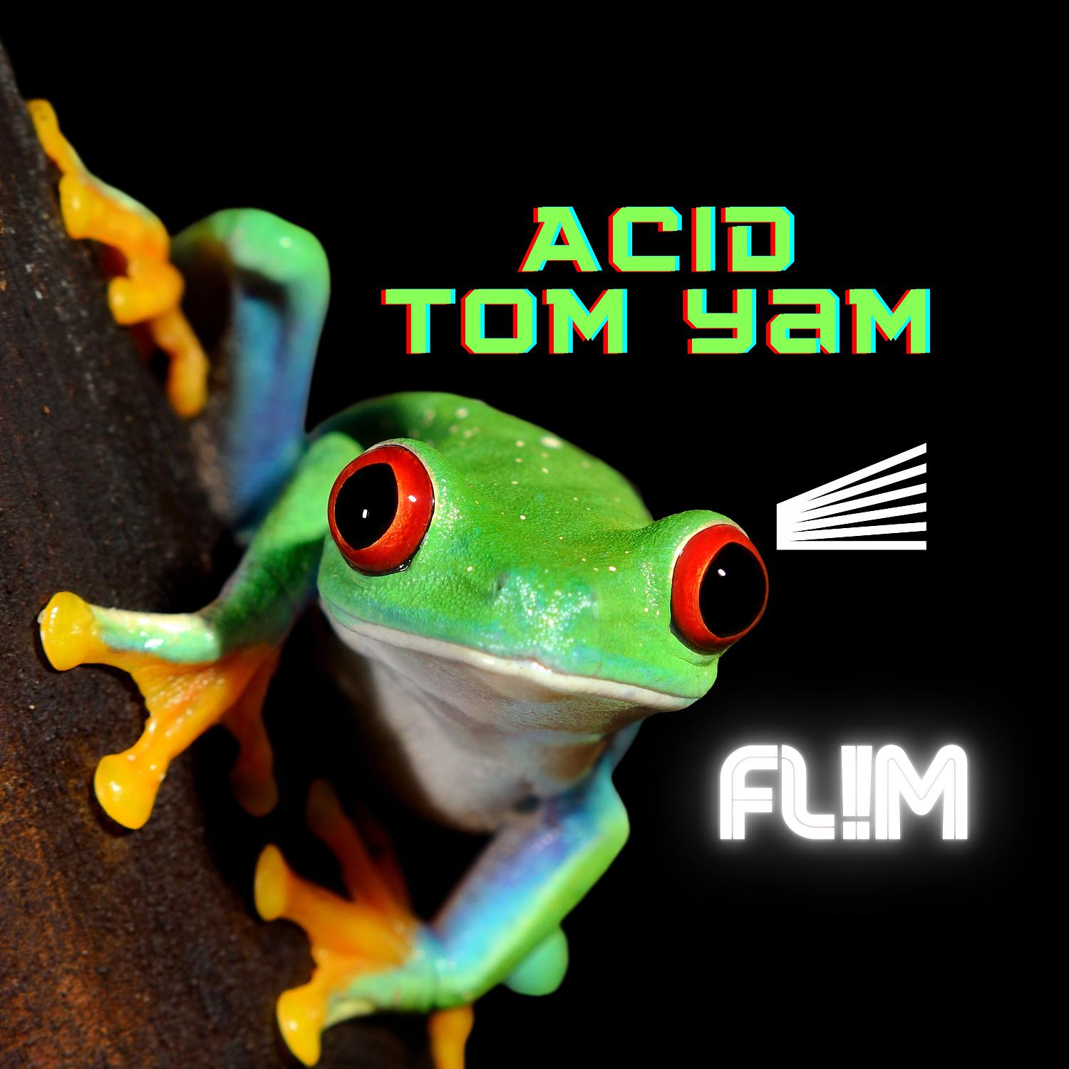 Постер альбома Acid Tom Yam