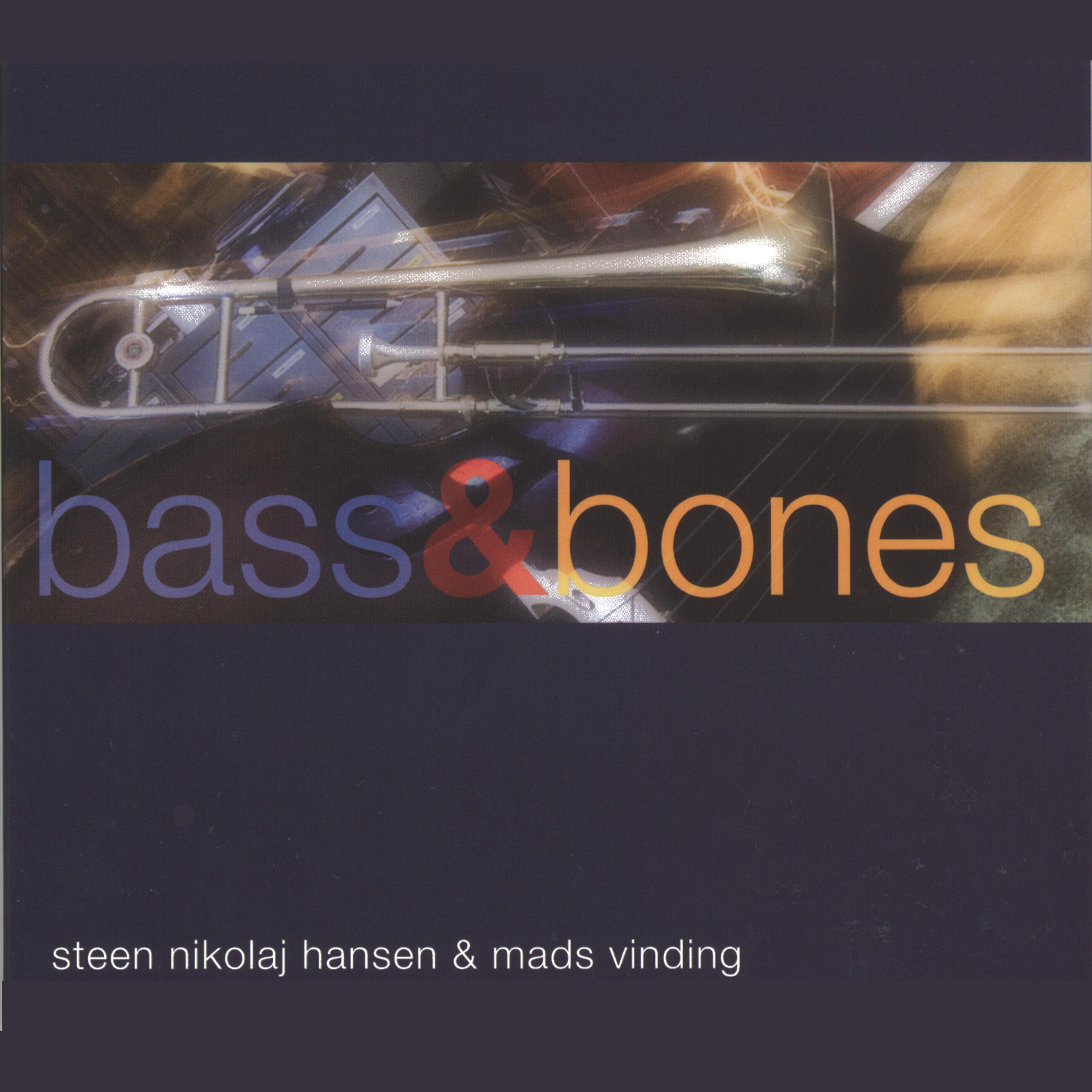 Постер альбома Bass & Bones