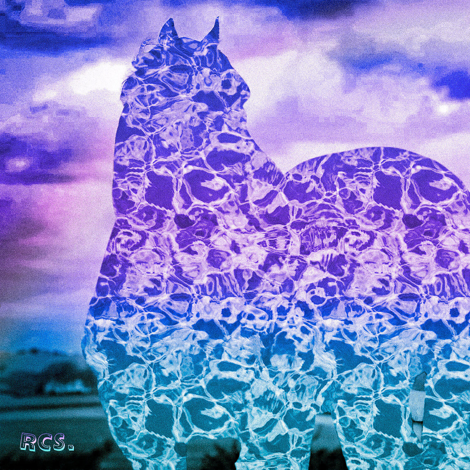 Junona Boys - White Horse