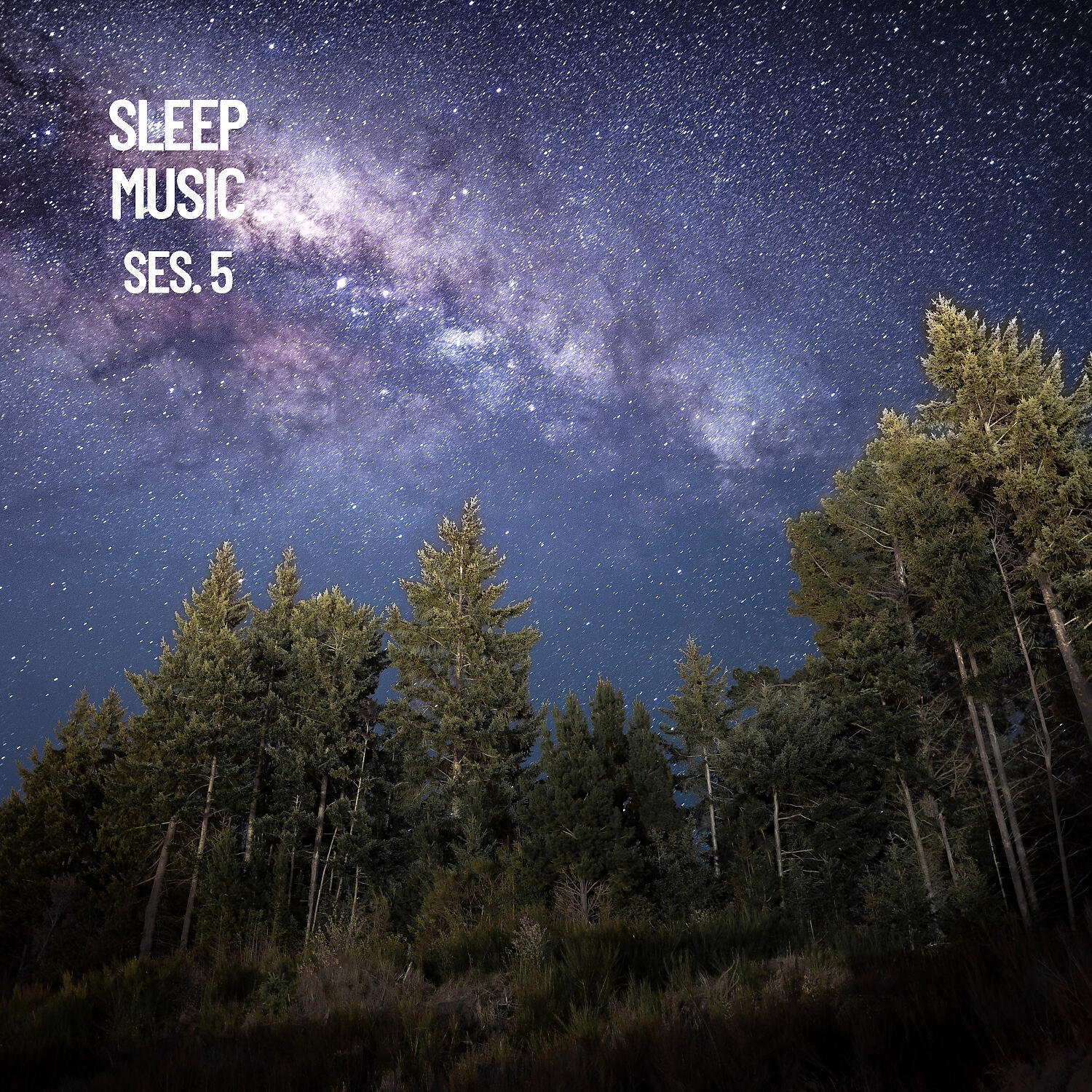 Sonido Del Bosque - Music for Relaxation