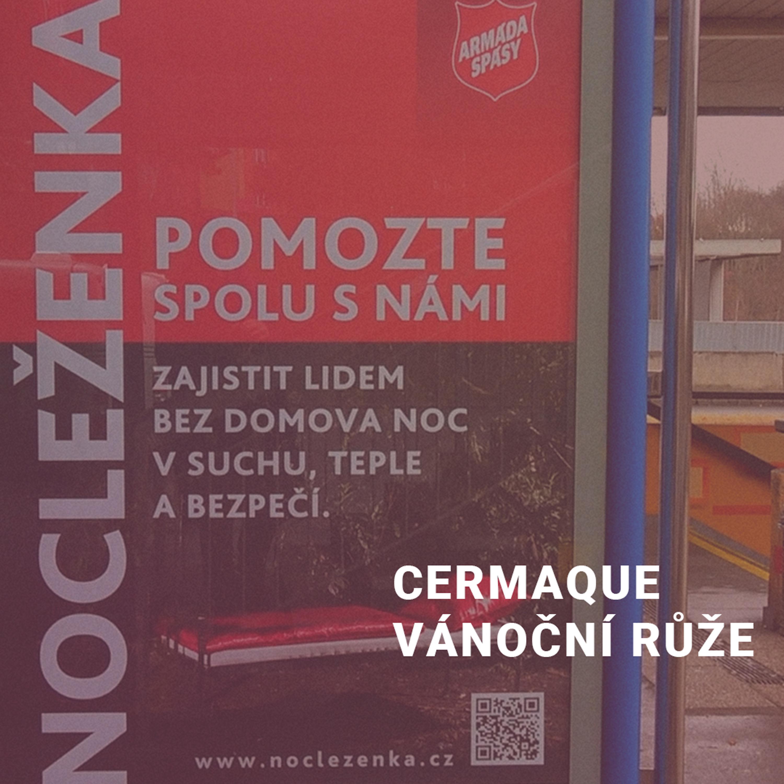 Постер альбома Vánoční růže