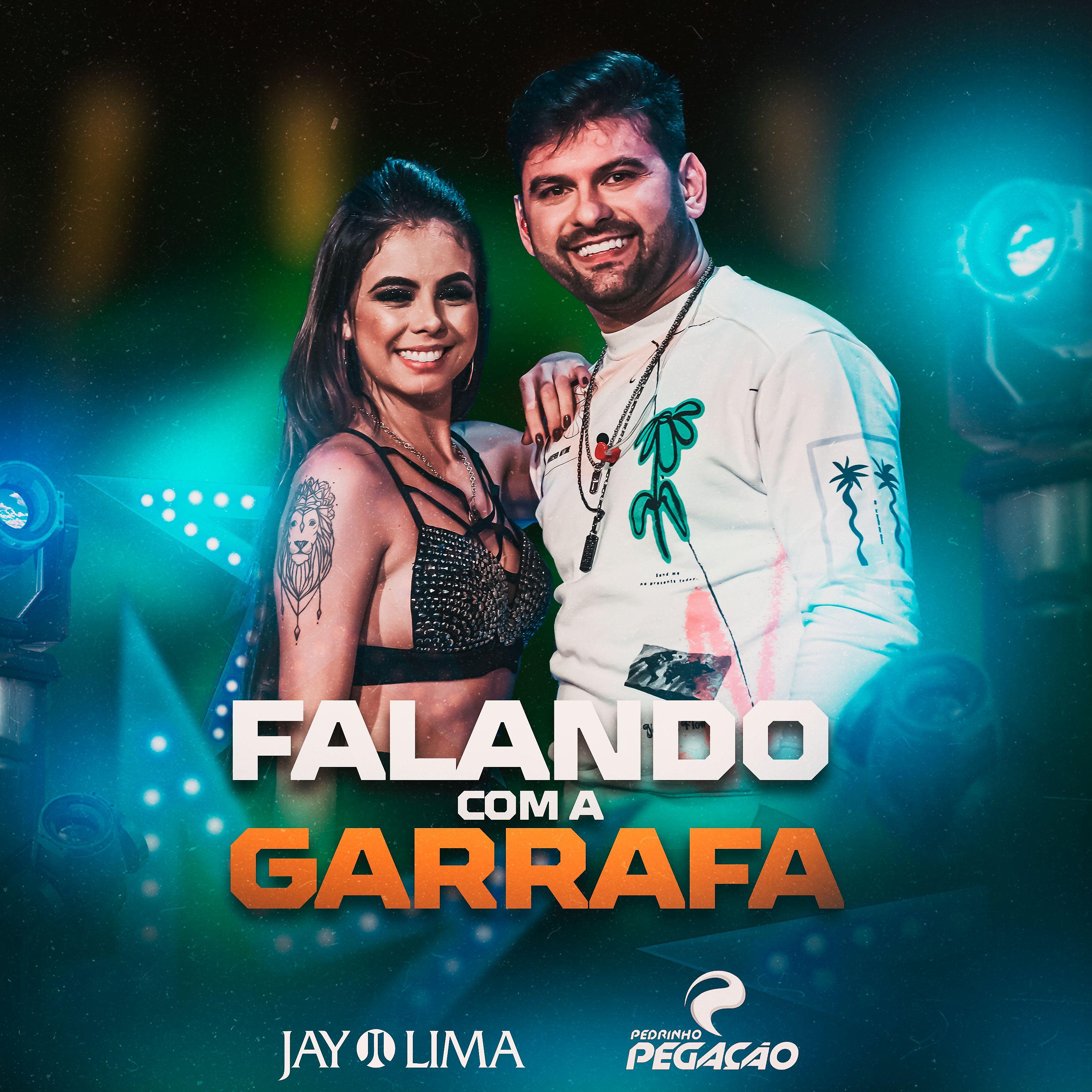 Постер альбома Falando Com a Garrafa