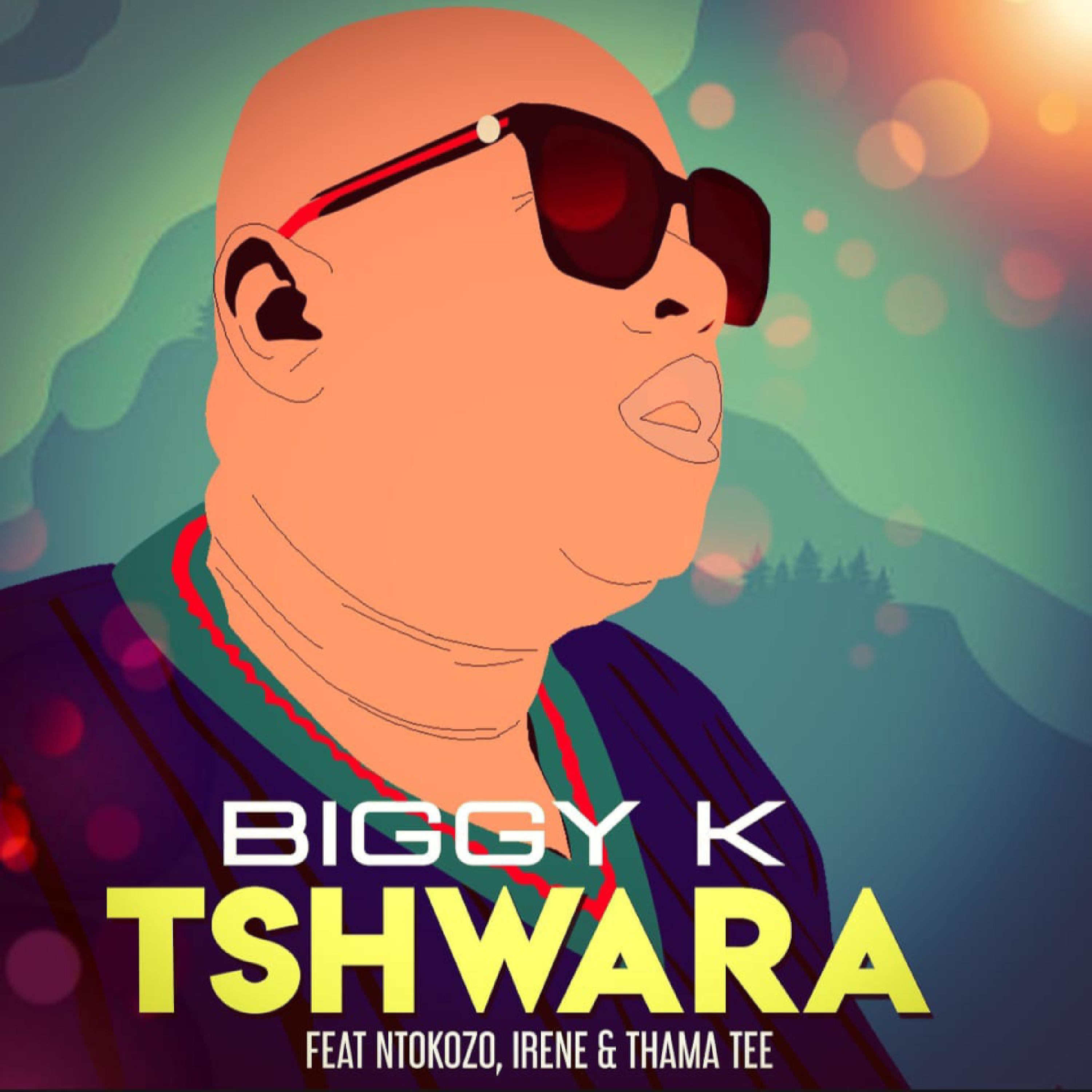 Постер альбома Tshwara