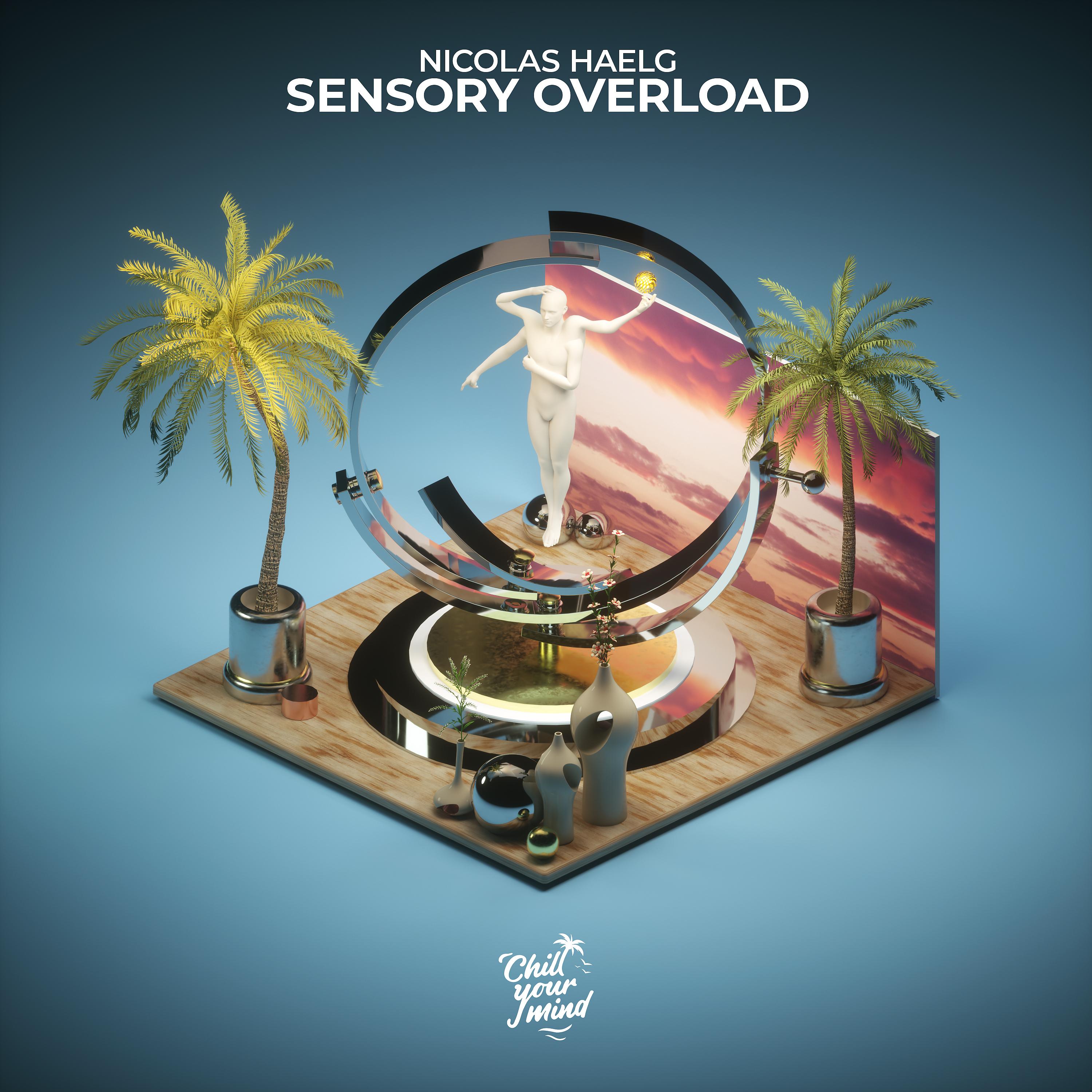 Постер альбома Sensory Overload