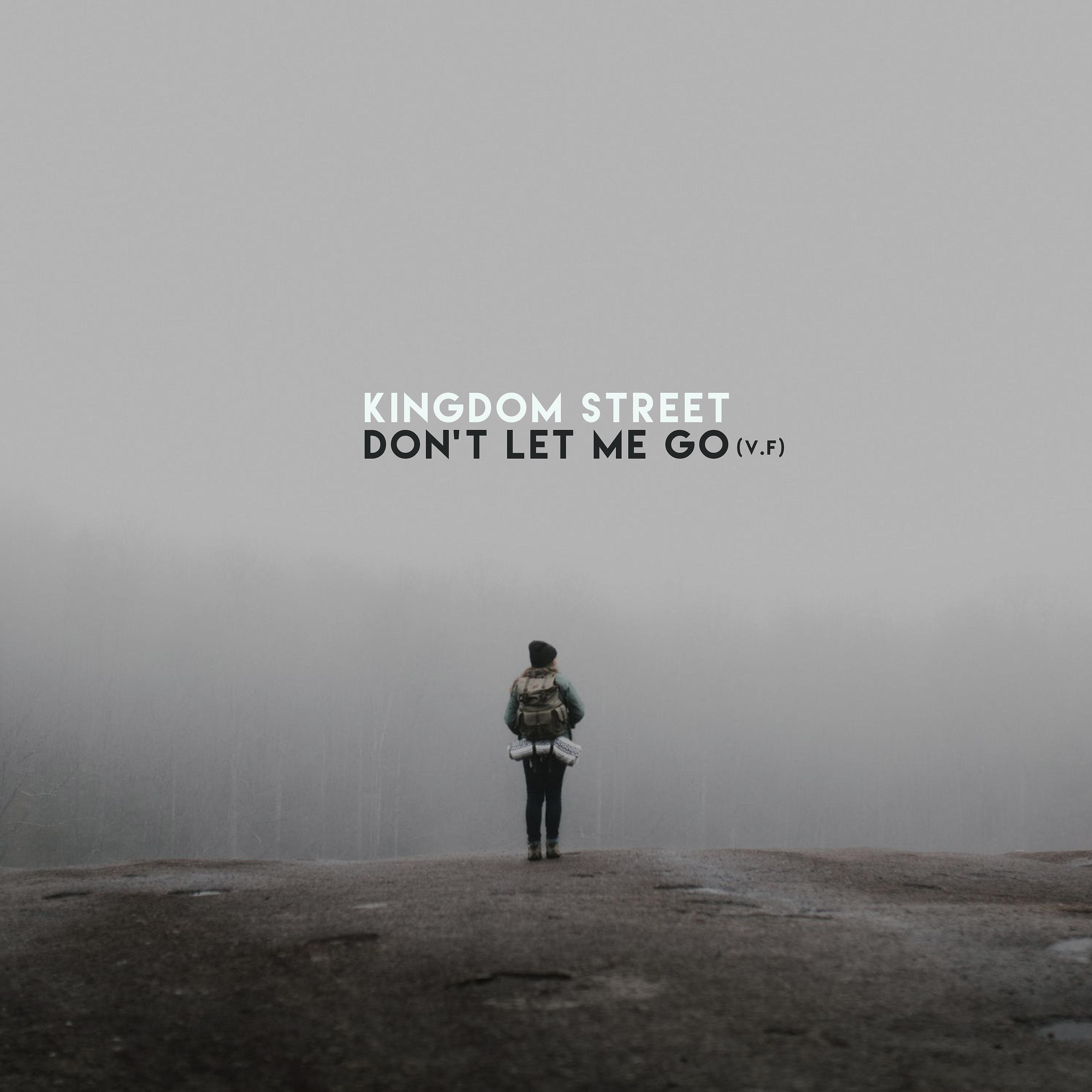 Постер альбома Don't Let Me Go (French Radio Edit)
