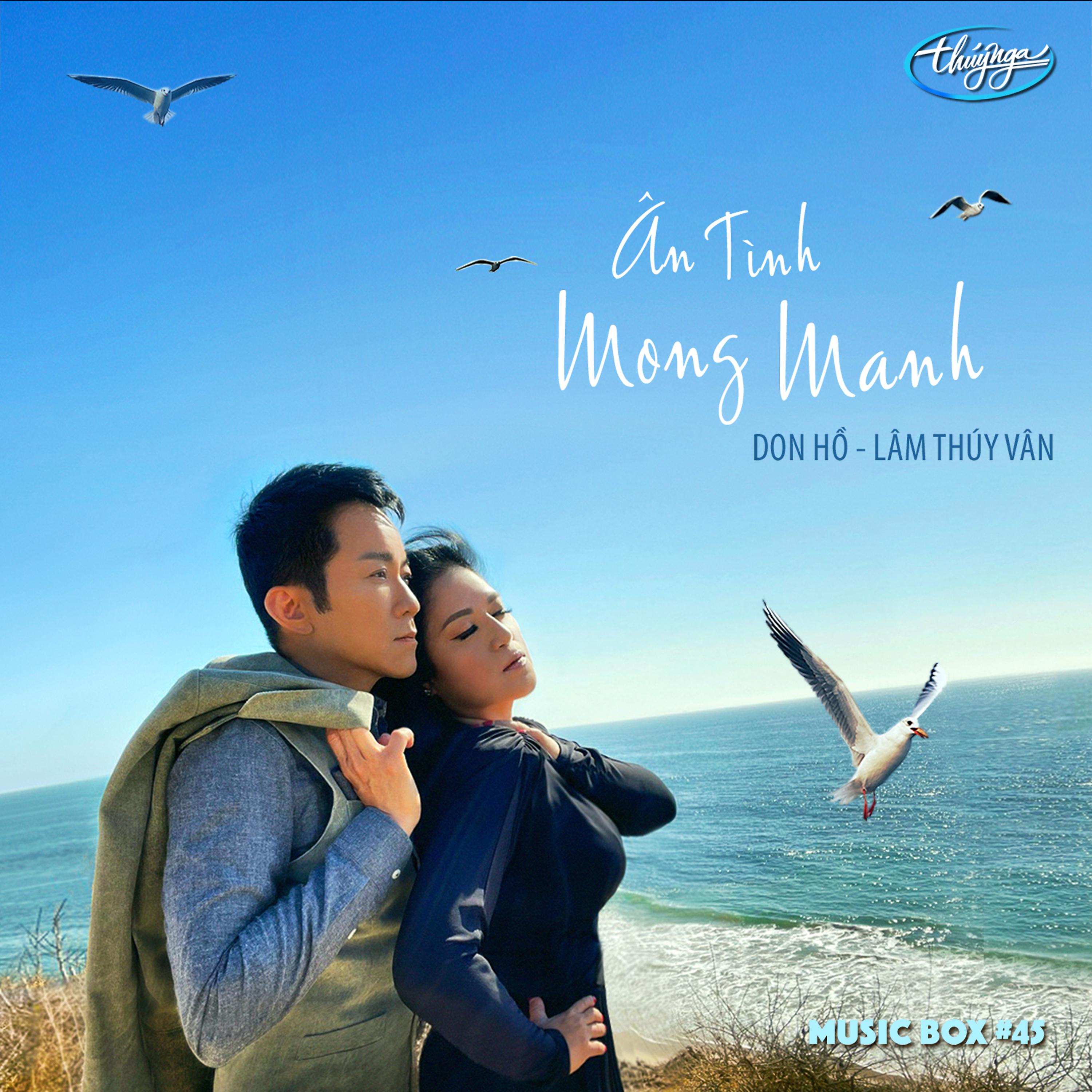 Постер альбома Music Box 45: Ân Tình Mong Manh