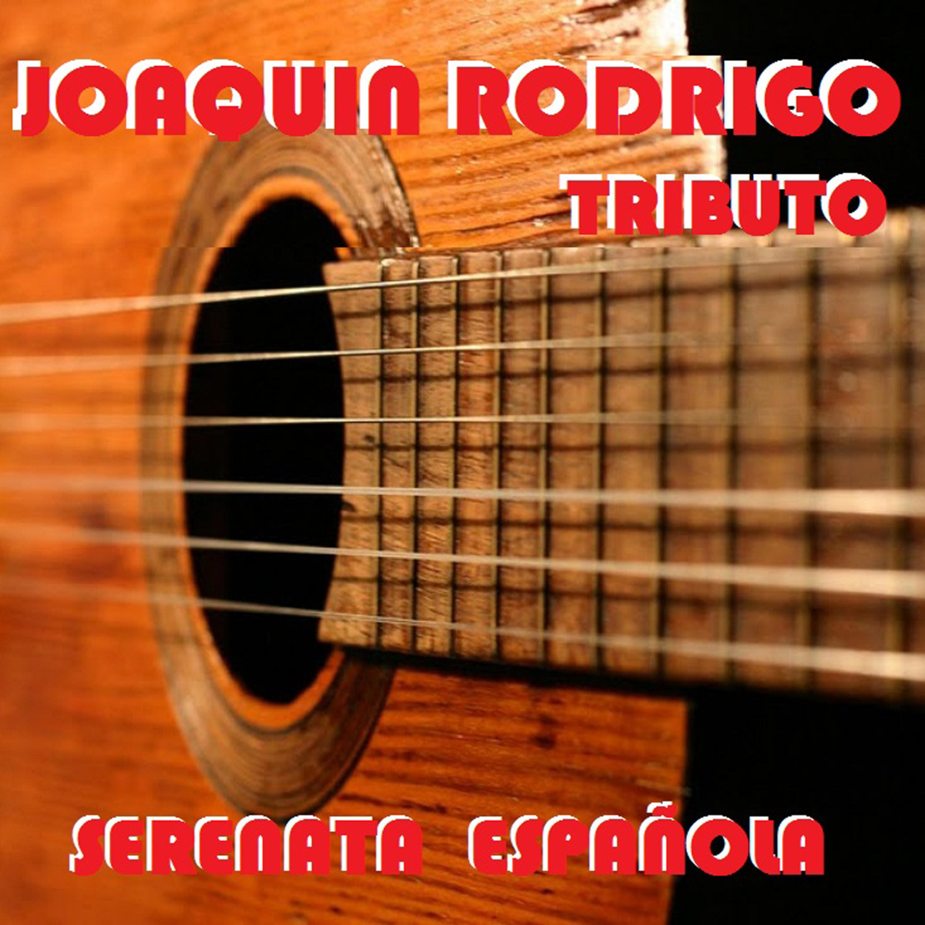 Постер альбома Joaquin Rodrigo -Tributo