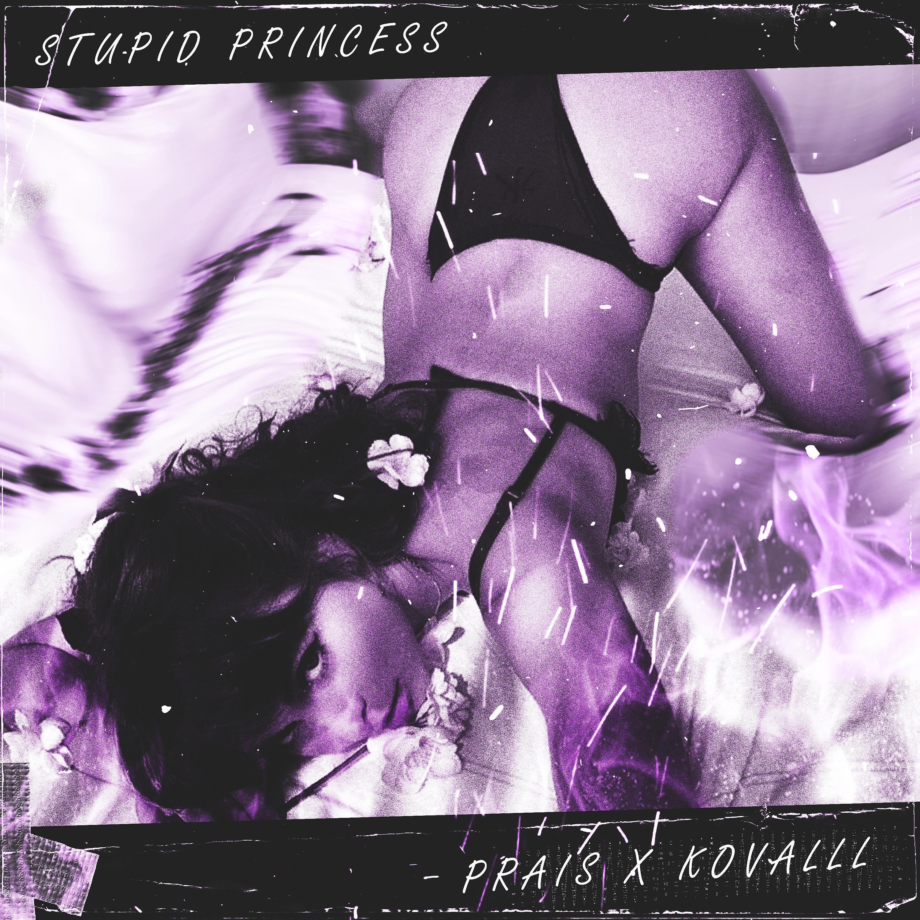 Постер альбома Stupid Princess