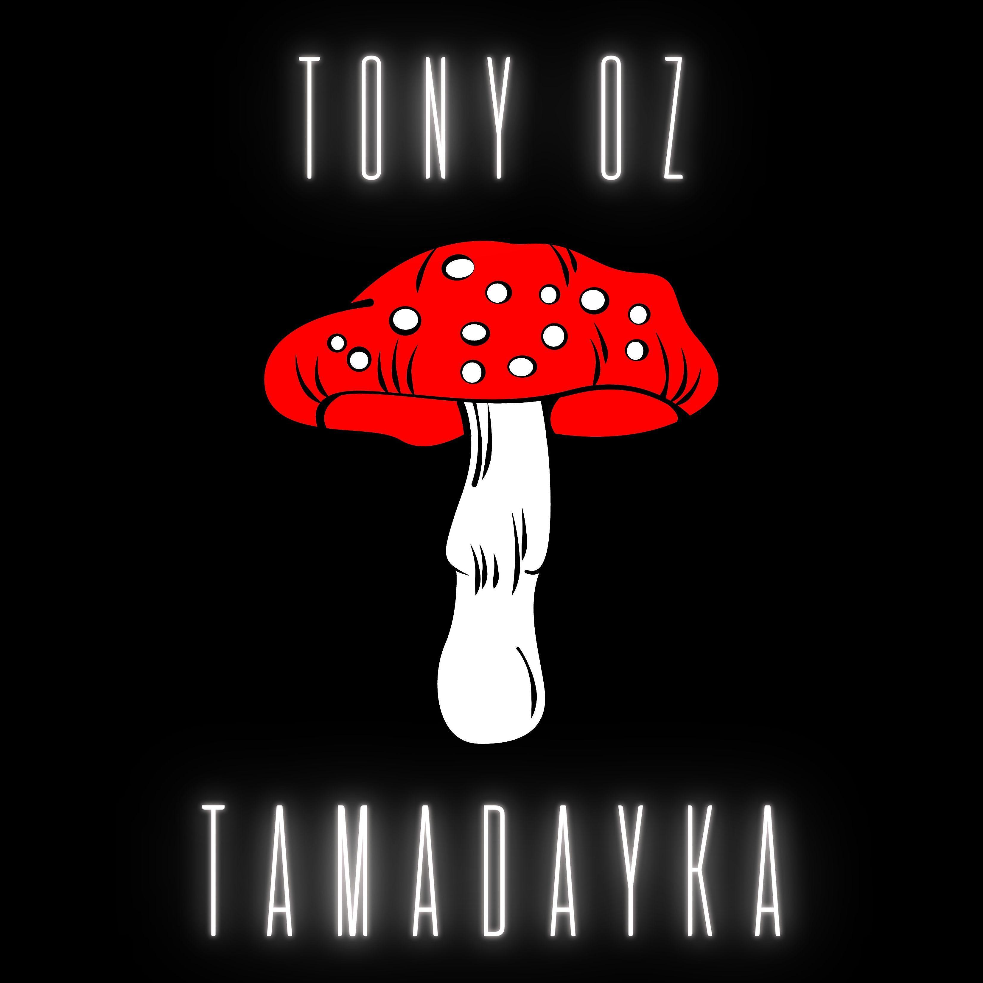 Постер альбома Tamadayka