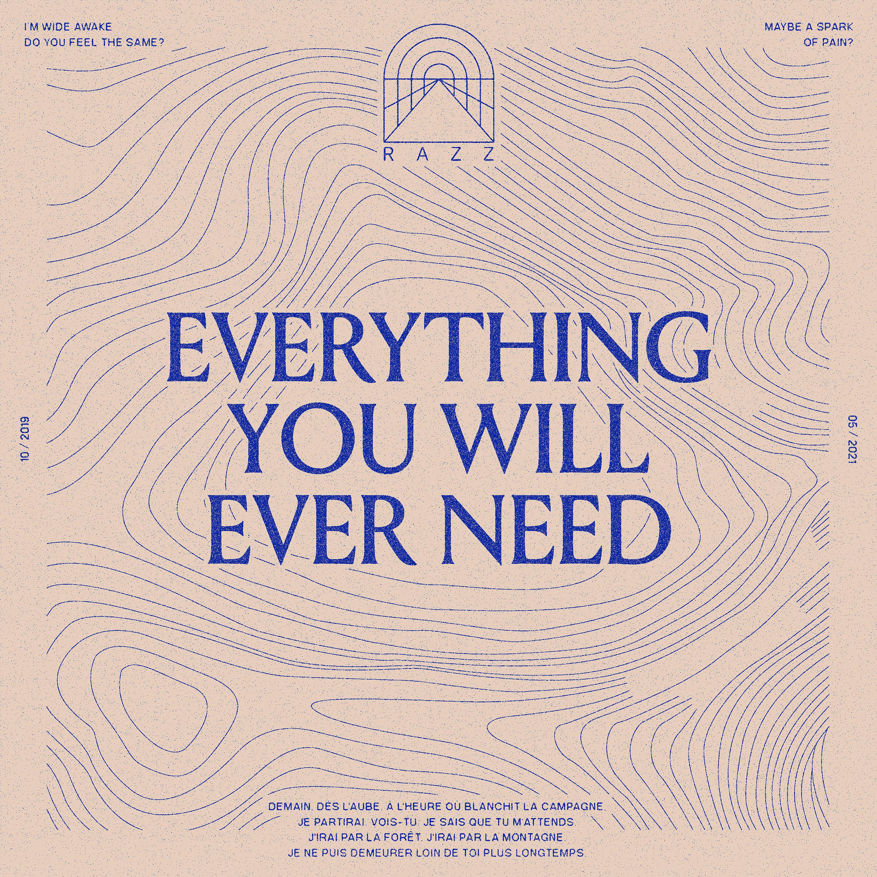Постер альбома Everything You Will Ever Need