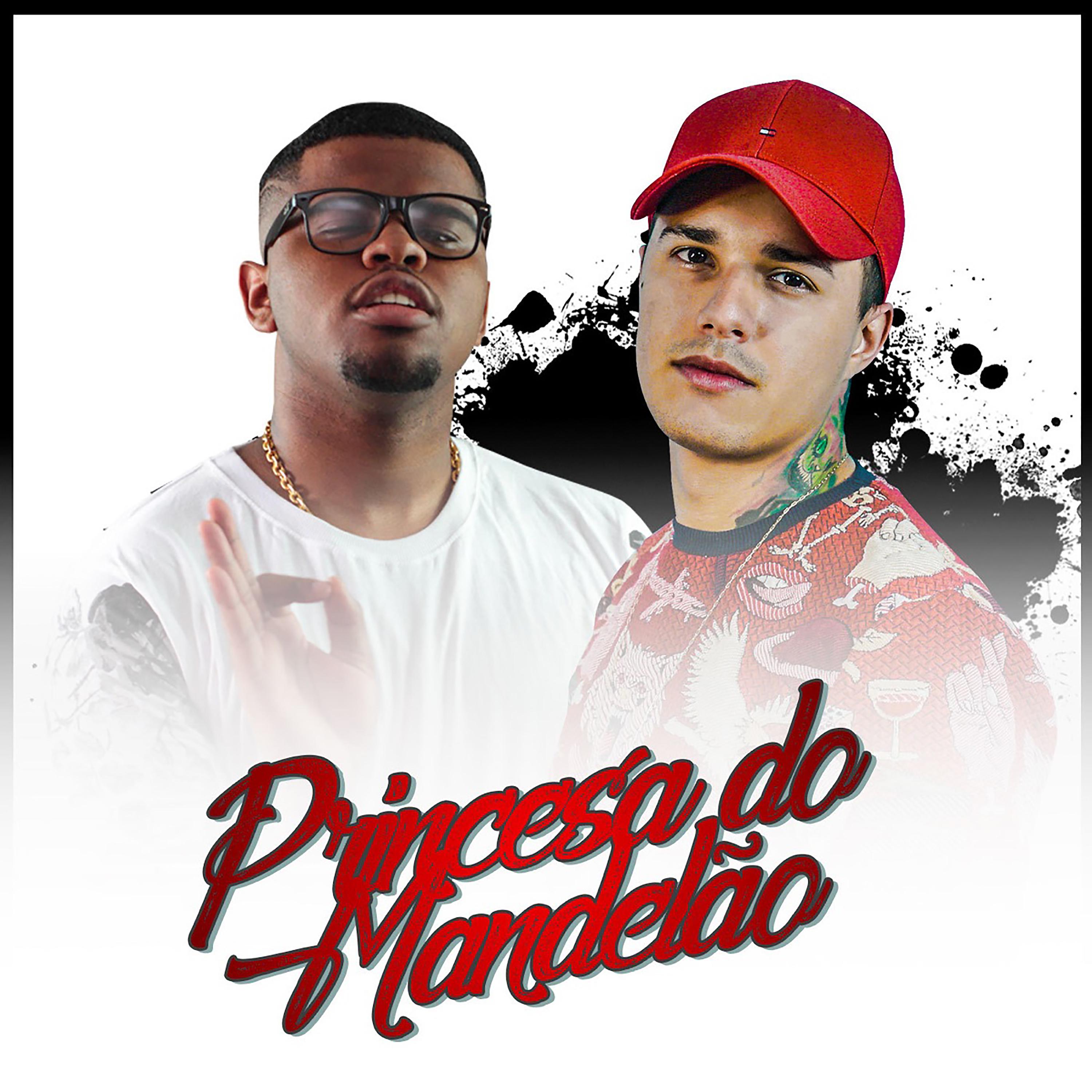 Постер альбома Princesa do Mandelão