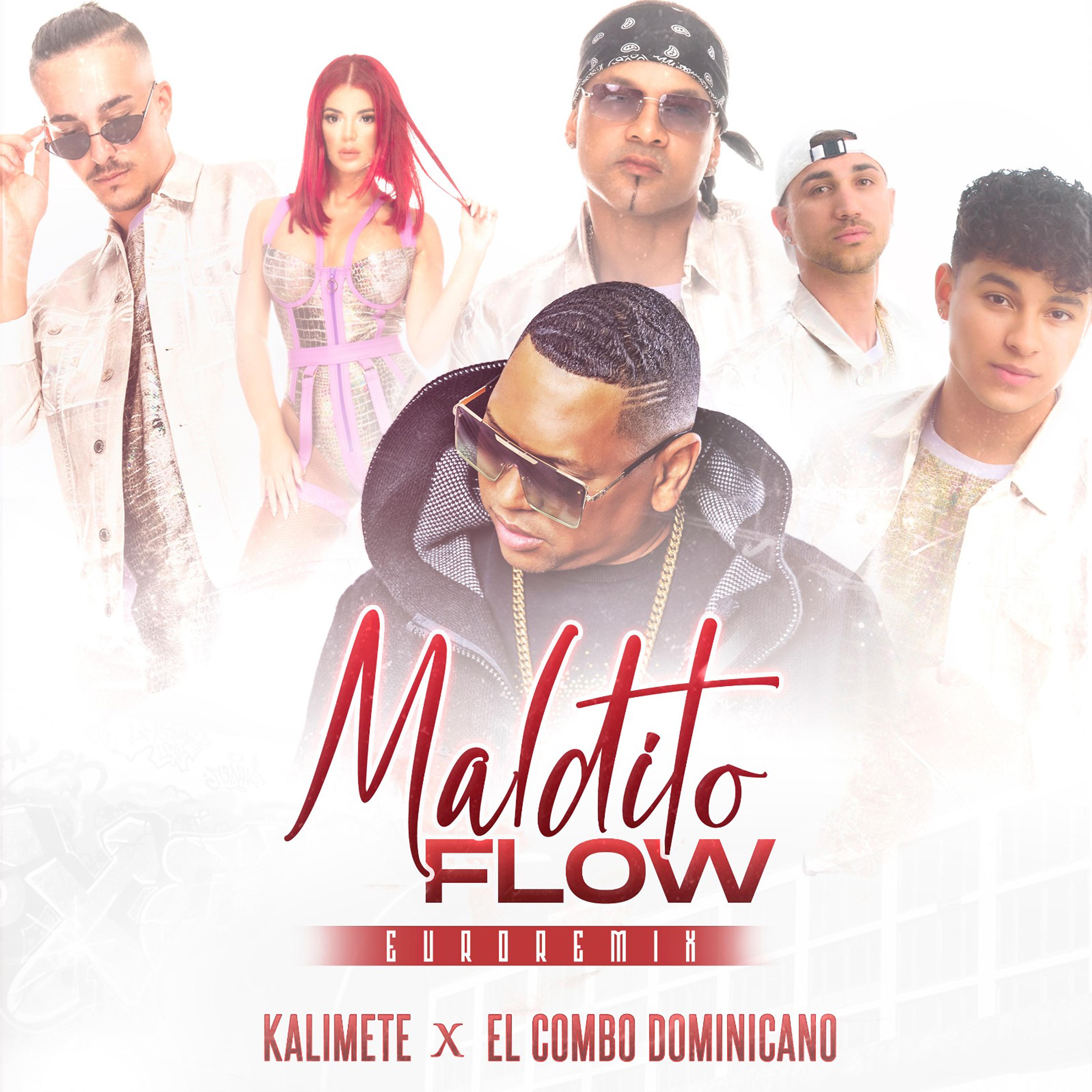 Постер альбома Maldito Flow (Euro Remix)