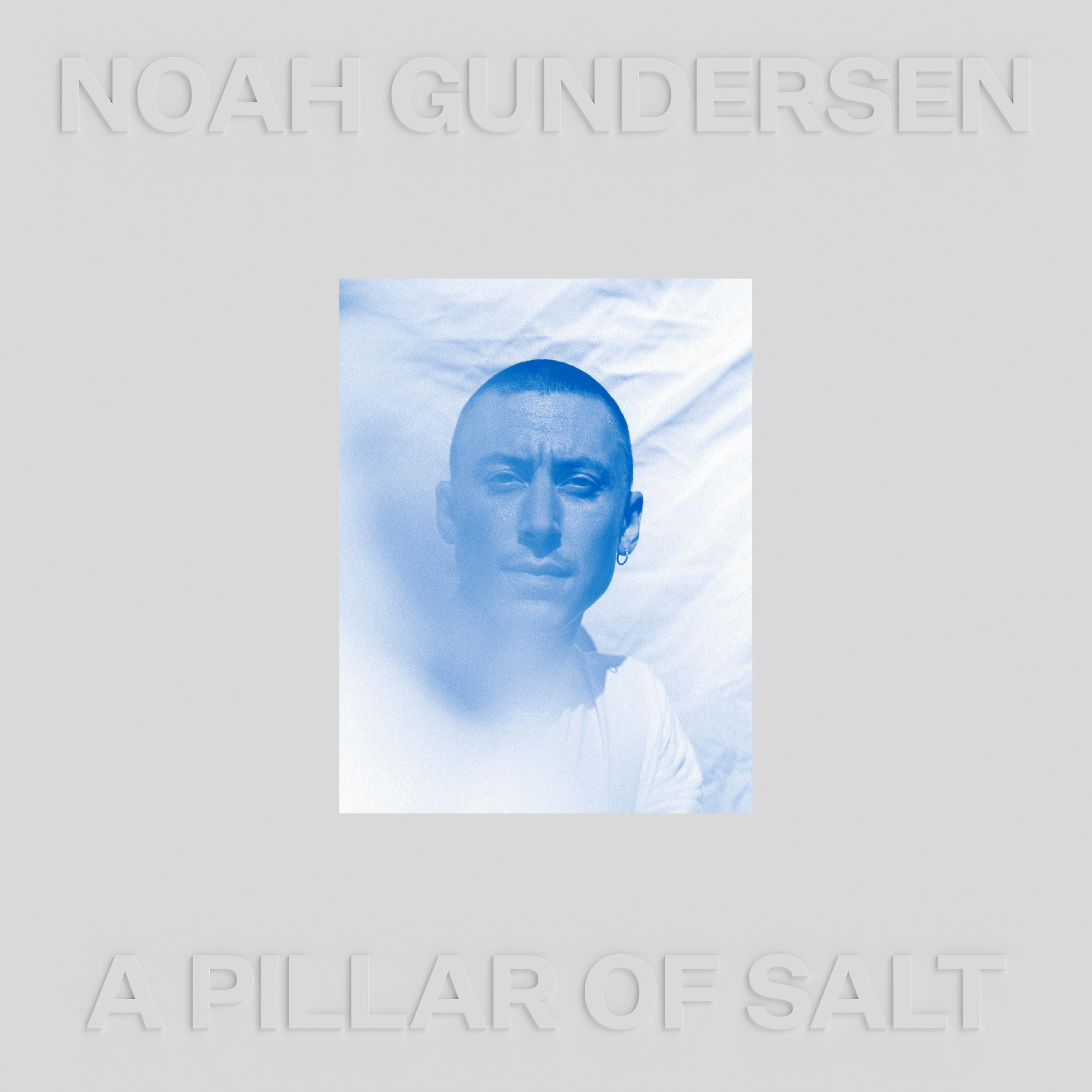 Постер альбома A Pillar of Salt (Deluxe)