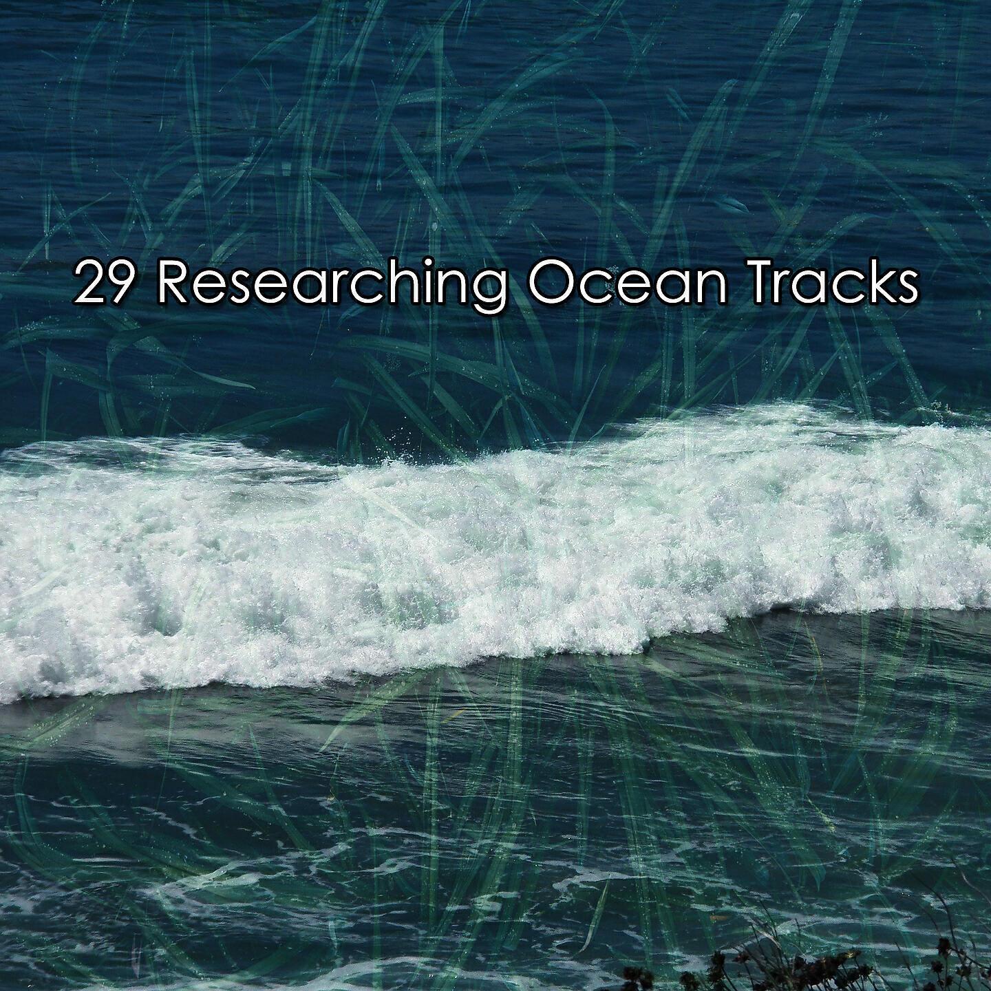 Сборник звуков океана; Океанские волны для сна все песни в mp3