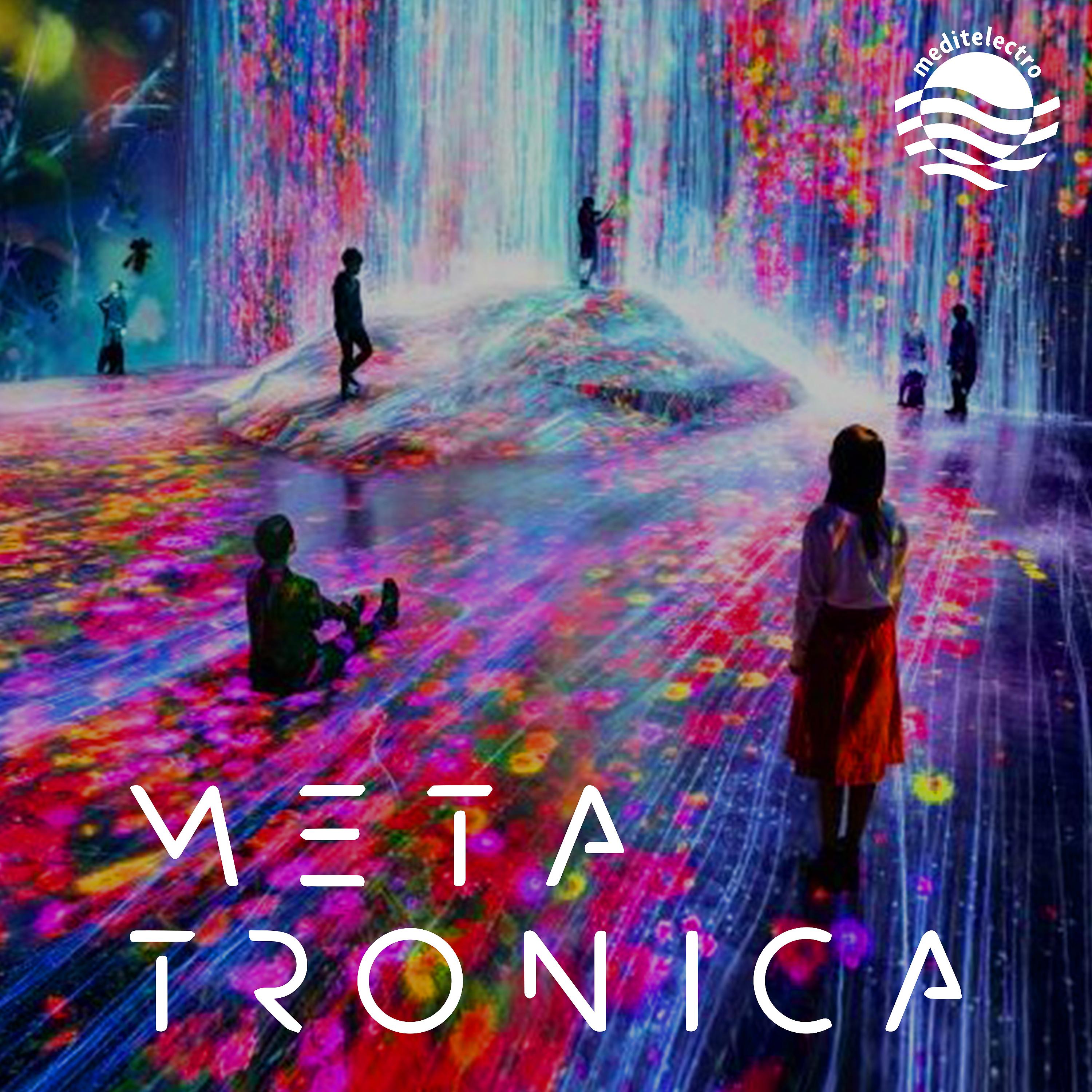 Постер альбома Metatronica