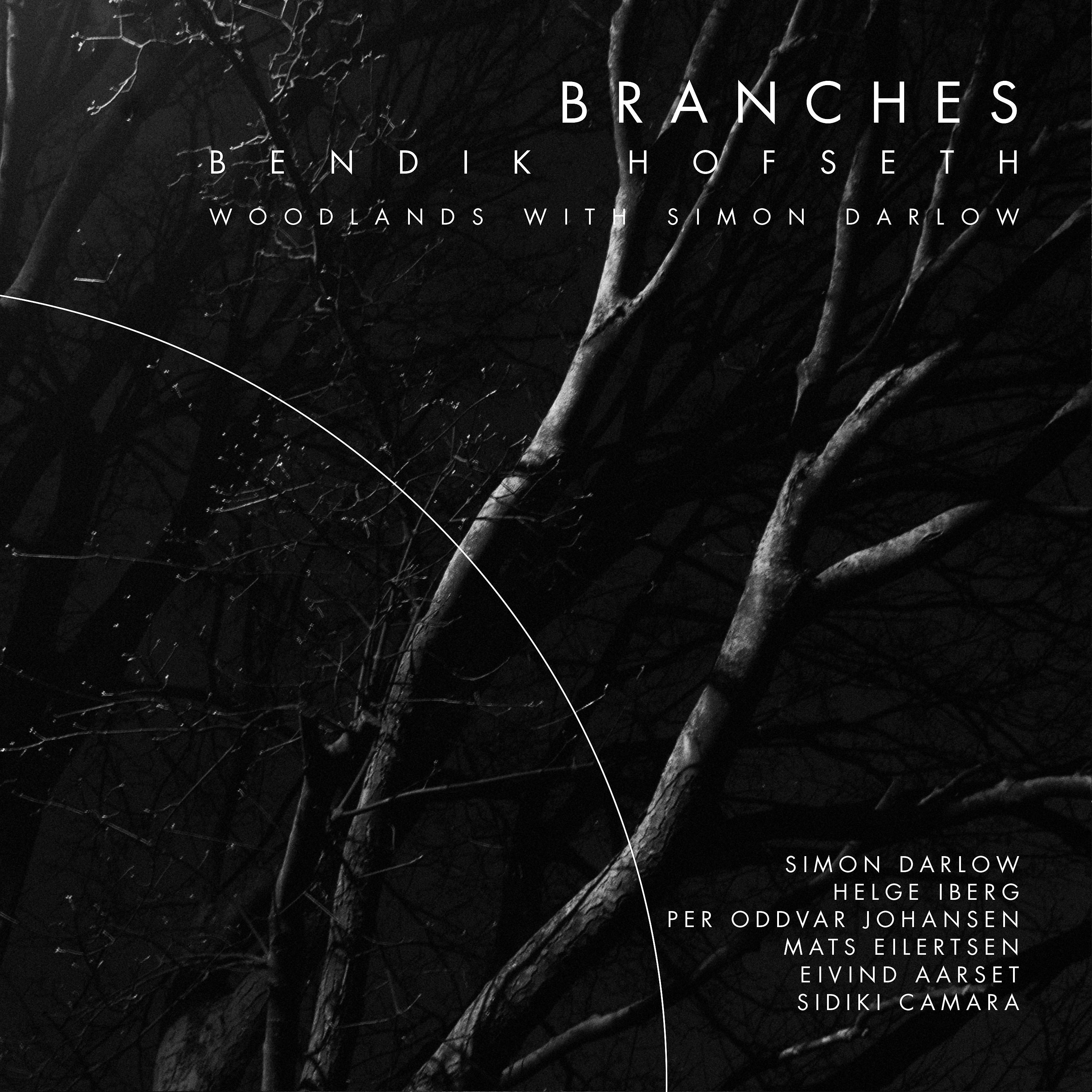 Постер альбома Branches