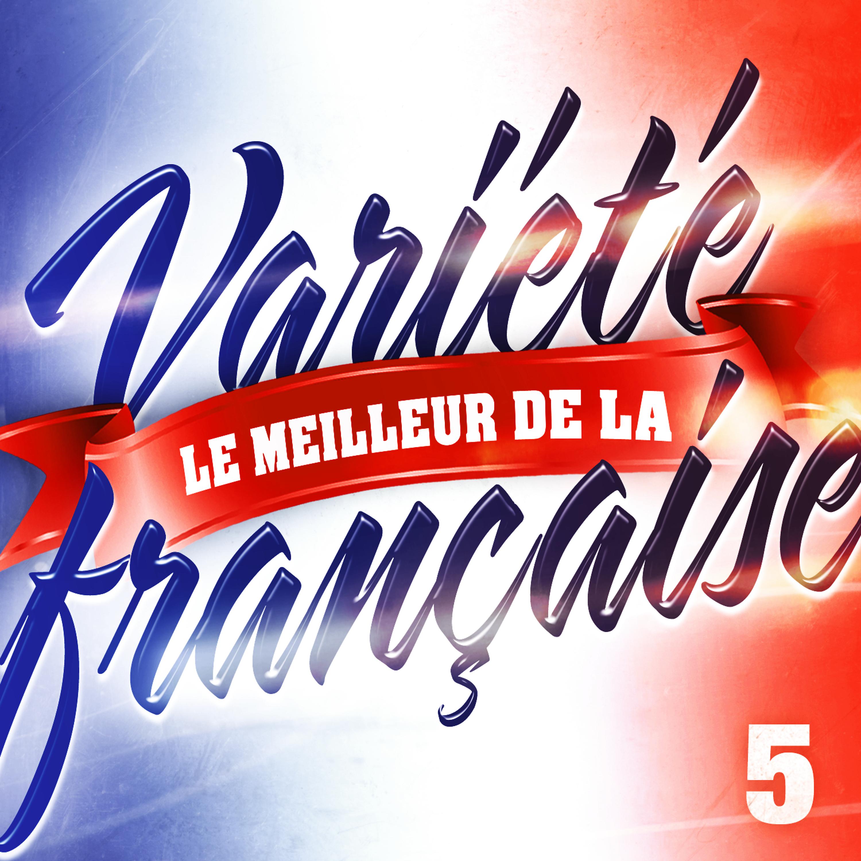 Постер альбома Le Meilleur De La Variété Française Vol. 5
