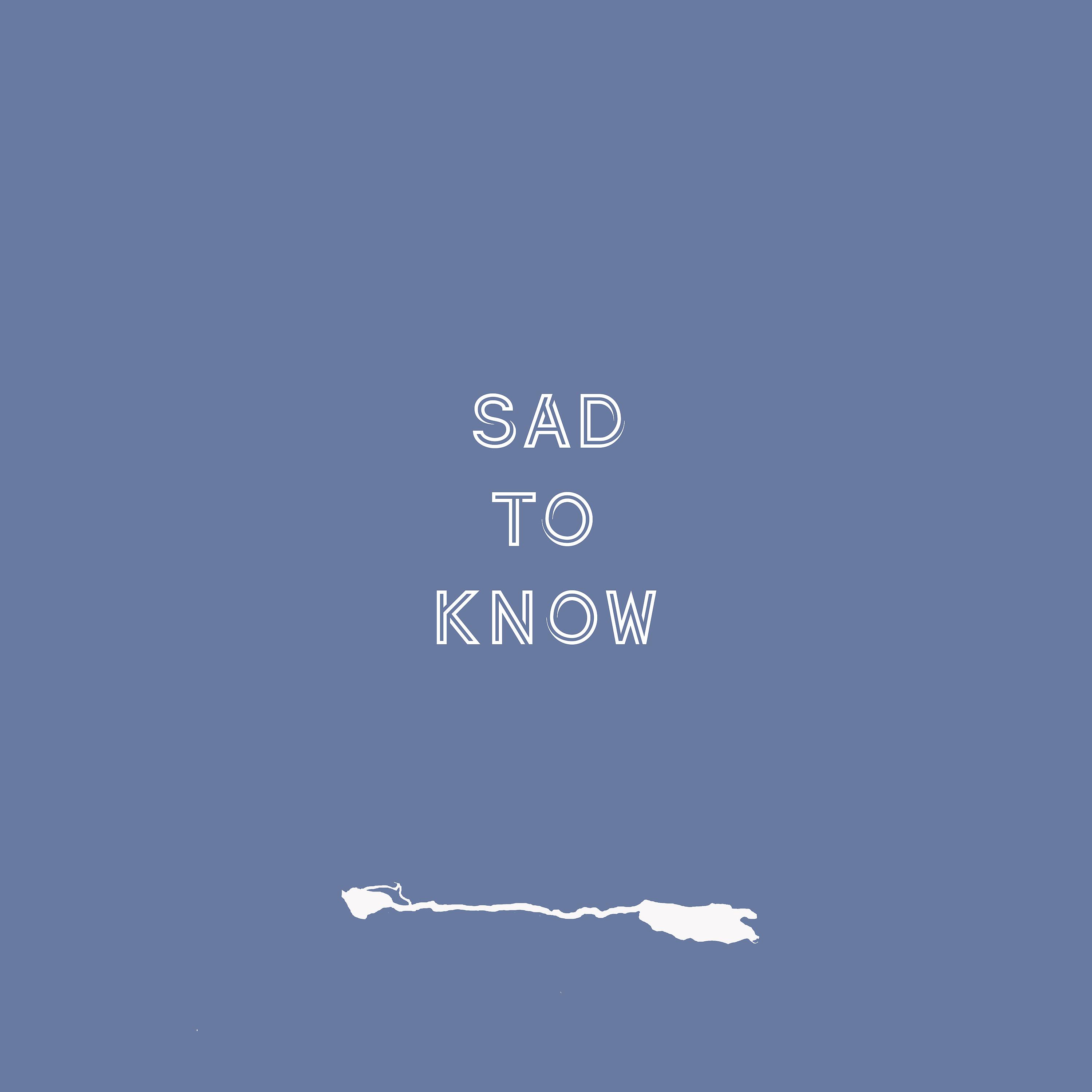 Постер альбома Sad to Know