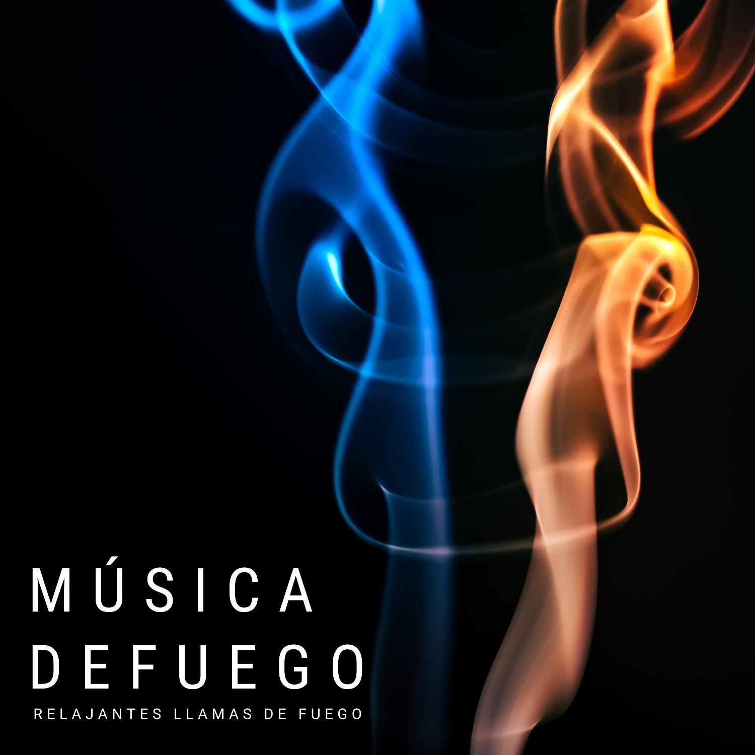 Постер альбома Música De Fuego: Relajantes Llamas De Fuego