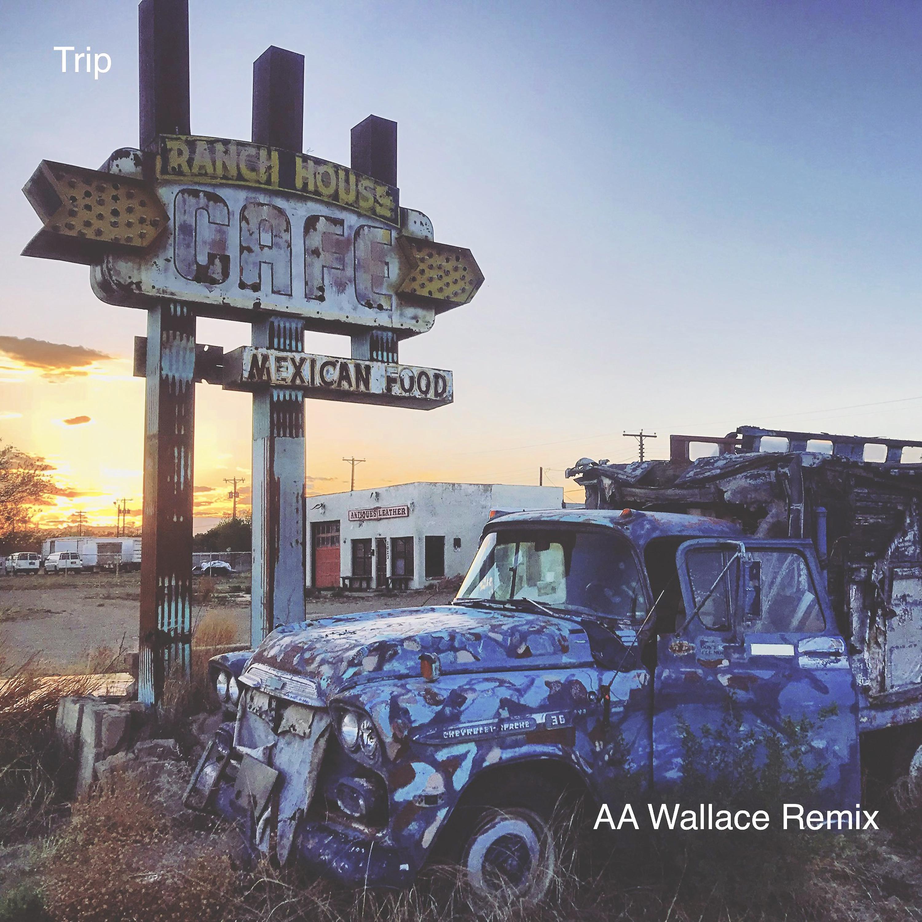Постер альбома Trip (AA Wallace Remix)