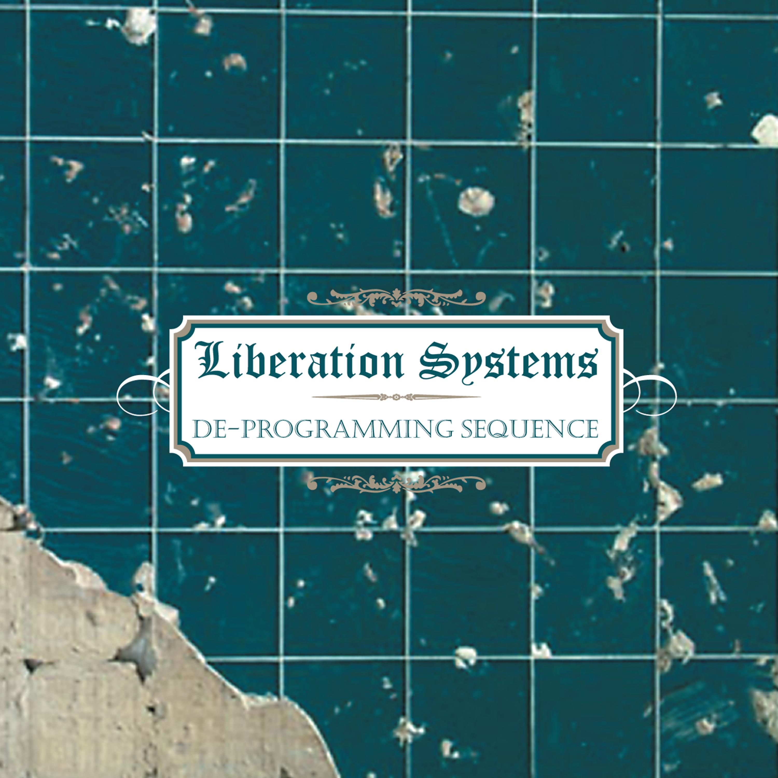Постер альбома Liberation Systems: De-Programming Sequence