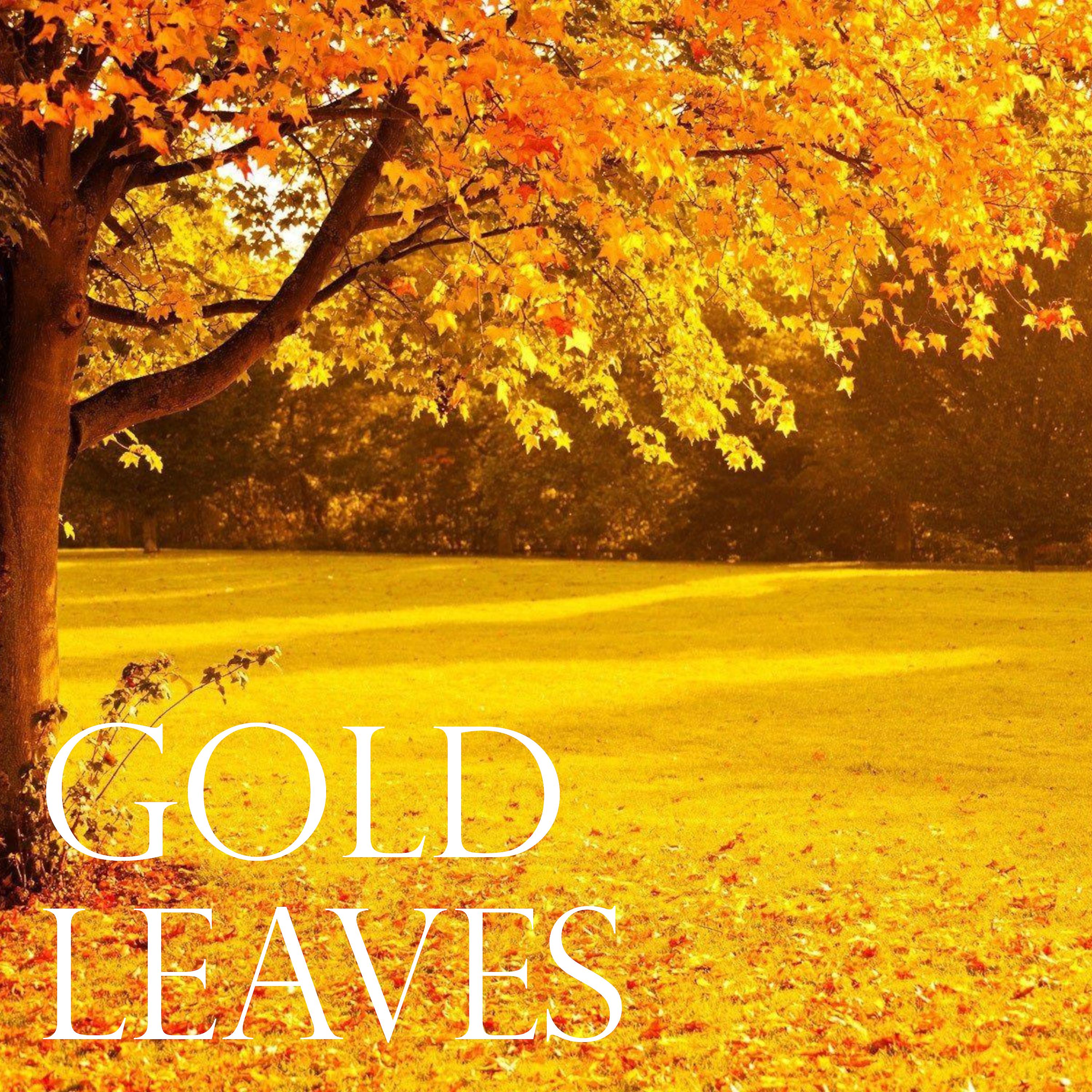 Постер альбома Gold Leaves