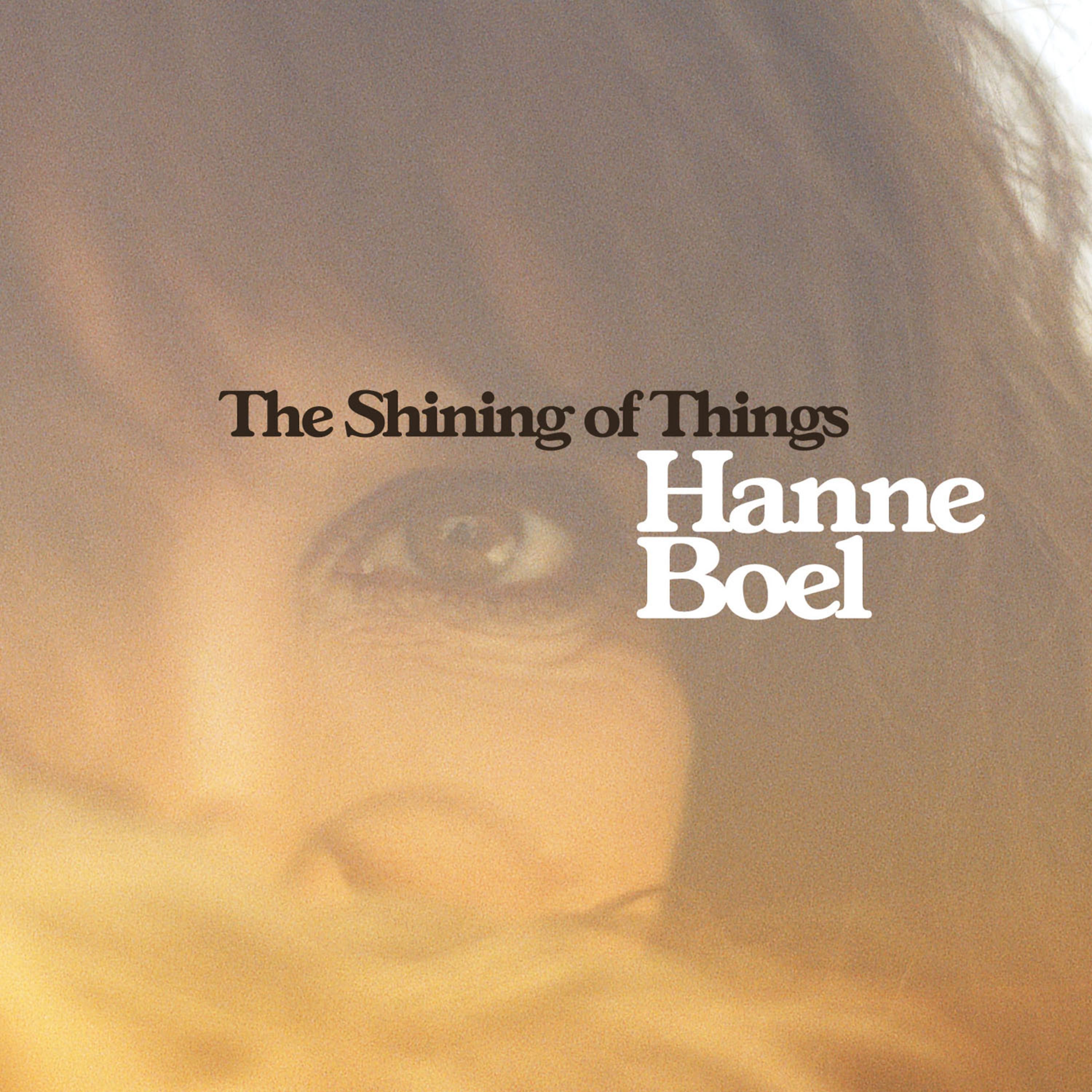 Постер альбома The Shining Of Things
