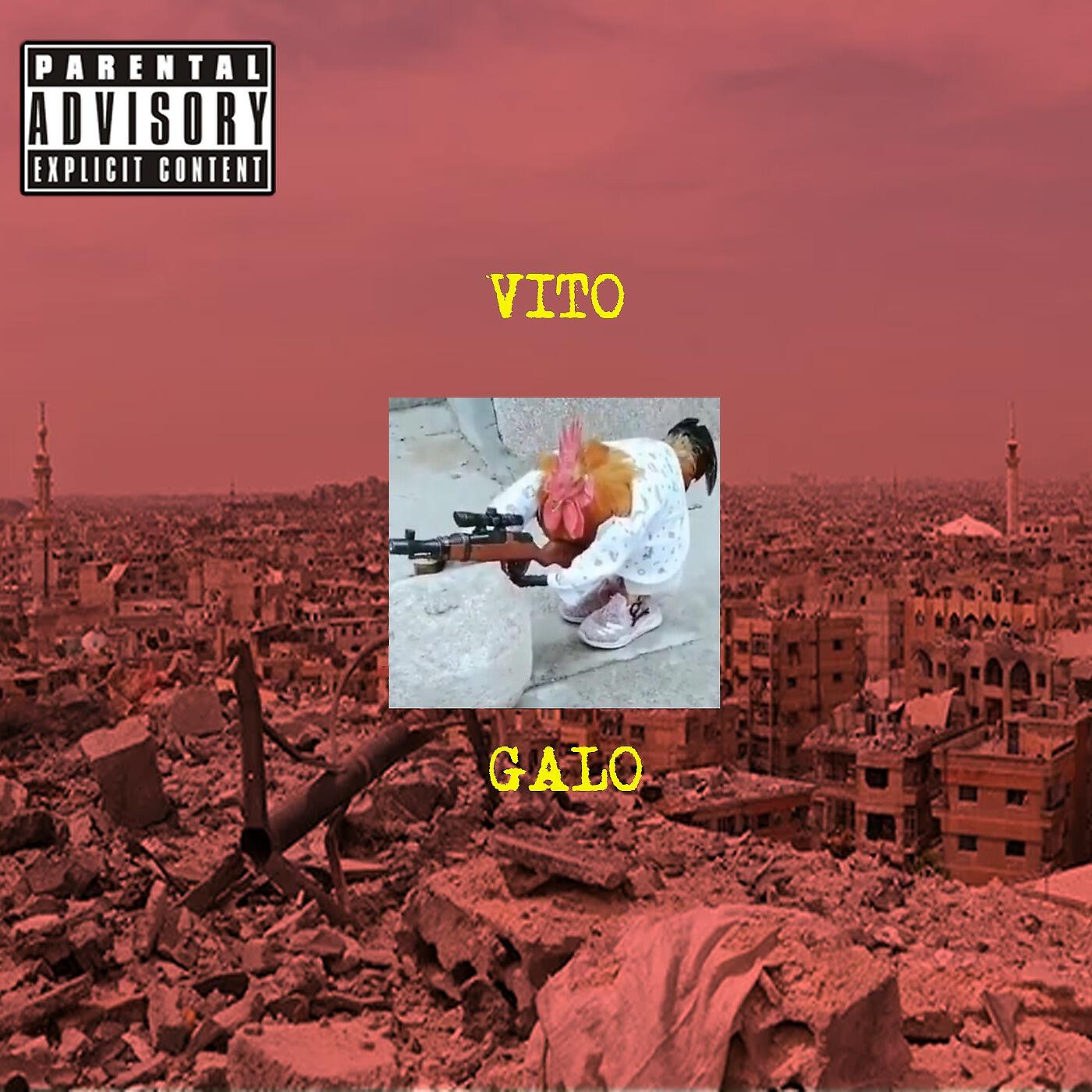 VITO - Galo