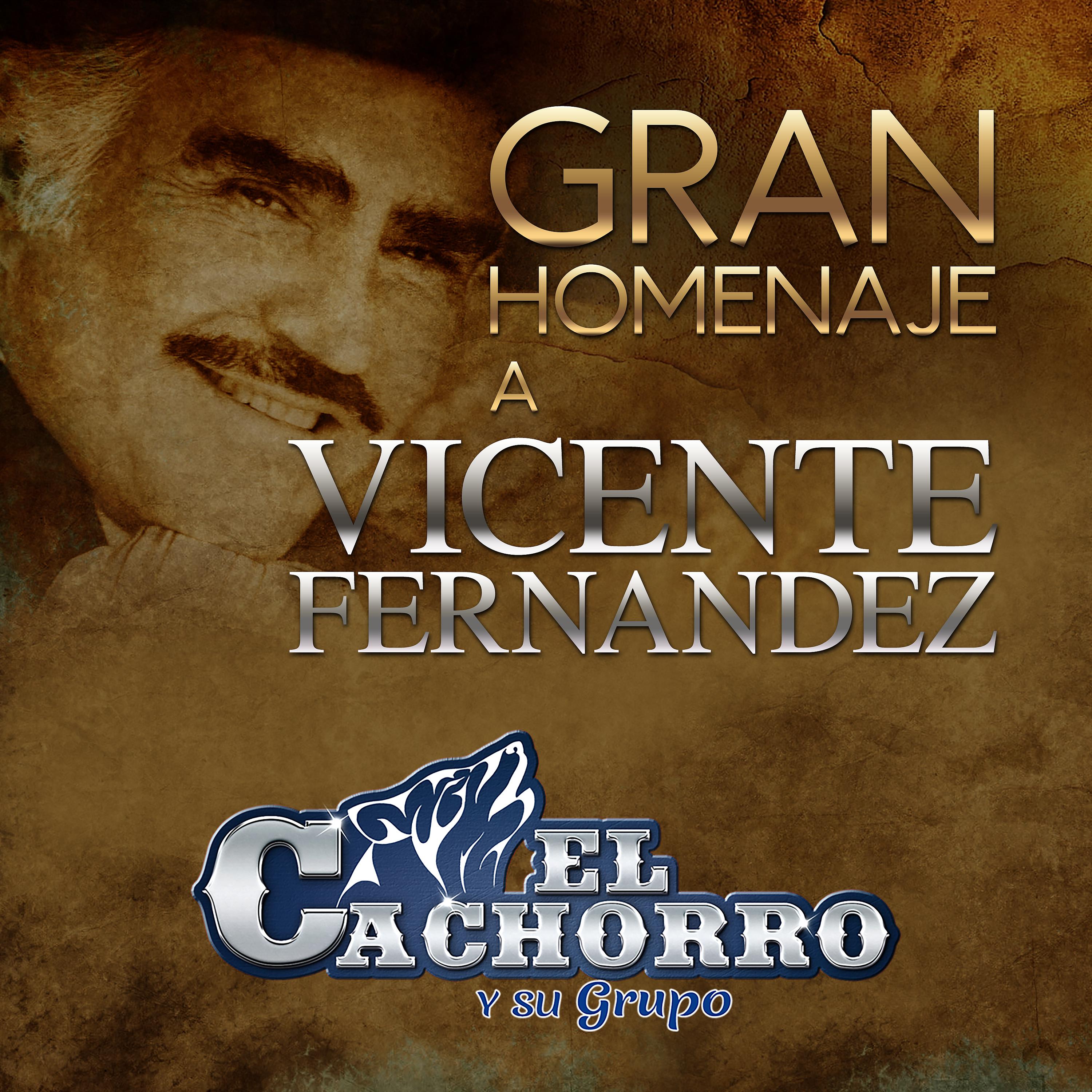 Постер альбома Gran Homenaje a Vicente Fernandez