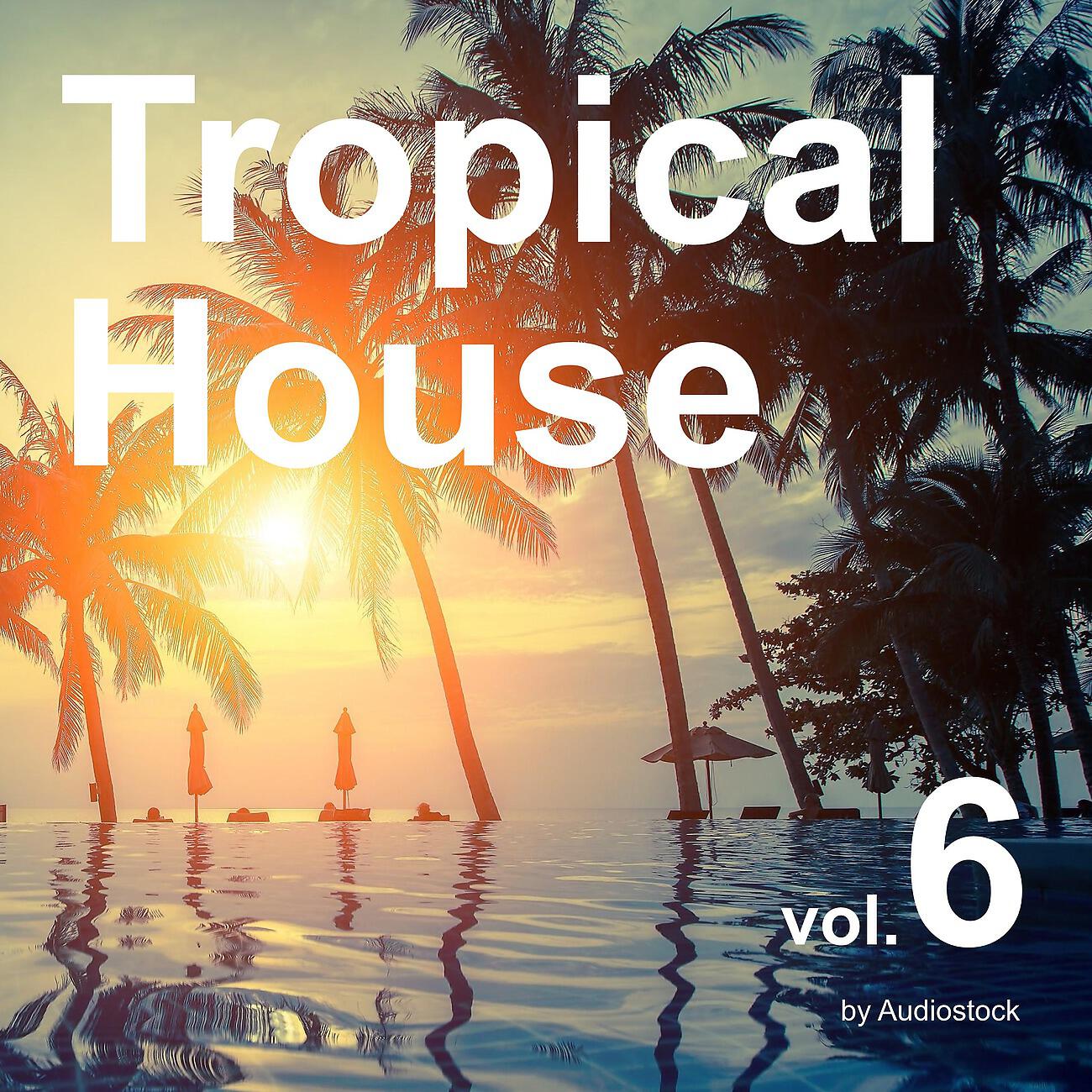 TMX - Tropical Night Dream