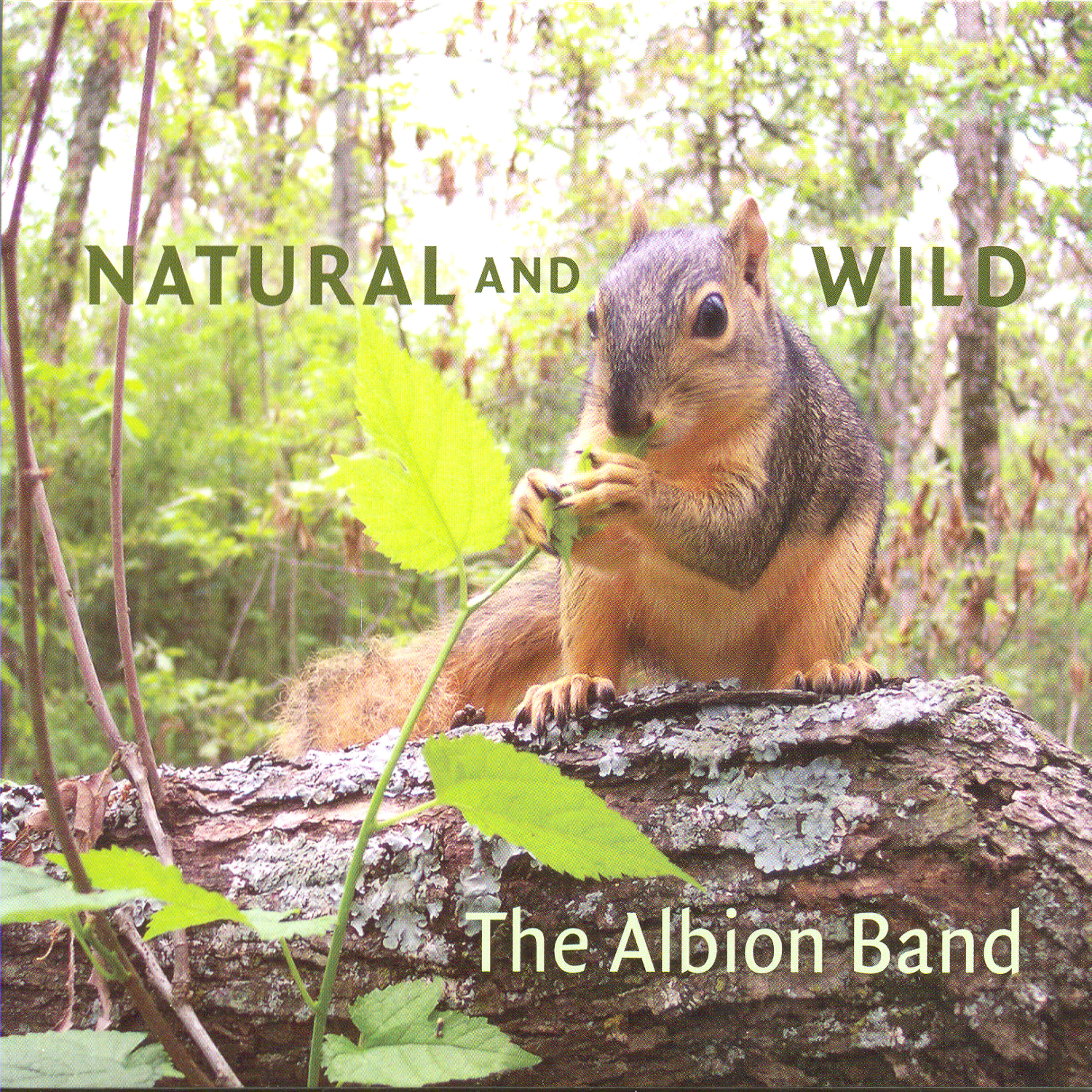 The Albion Band - Coming in on a wing and a prayer