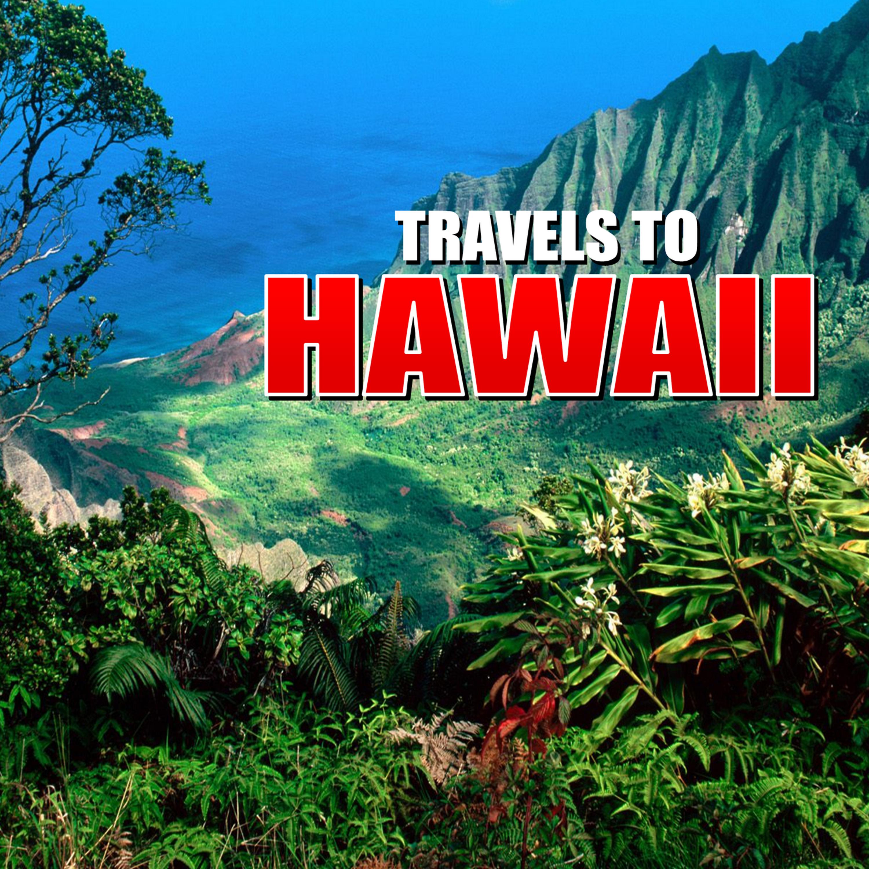Постер альбома Travels to Hawaii