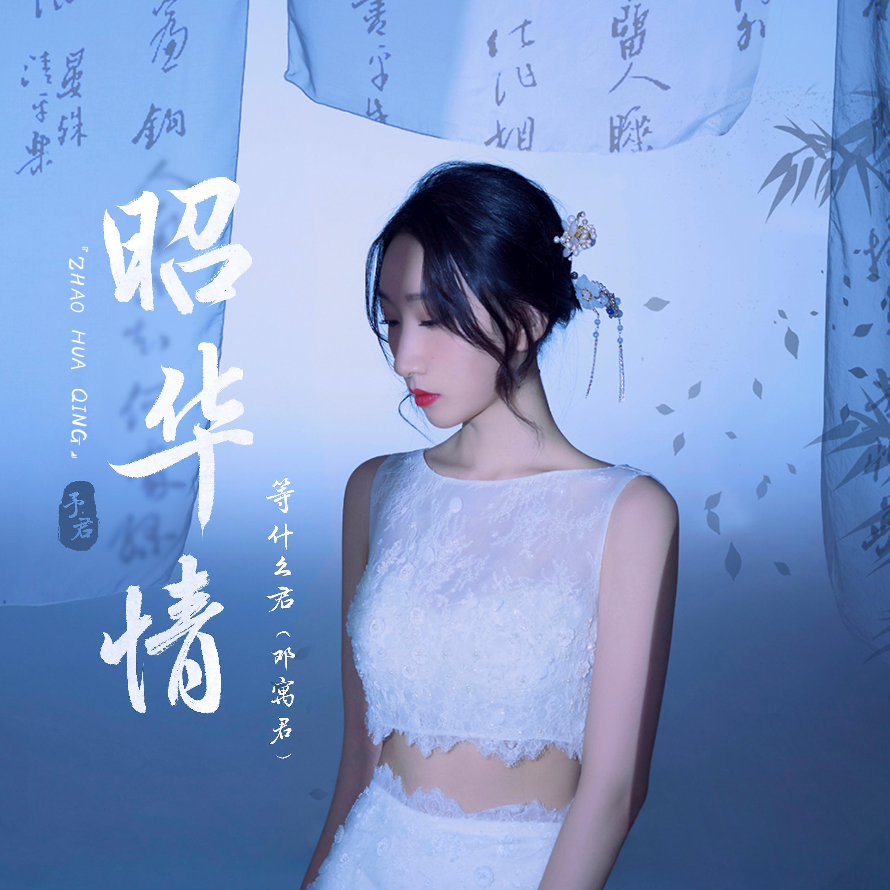 Постер альбома 昭华情