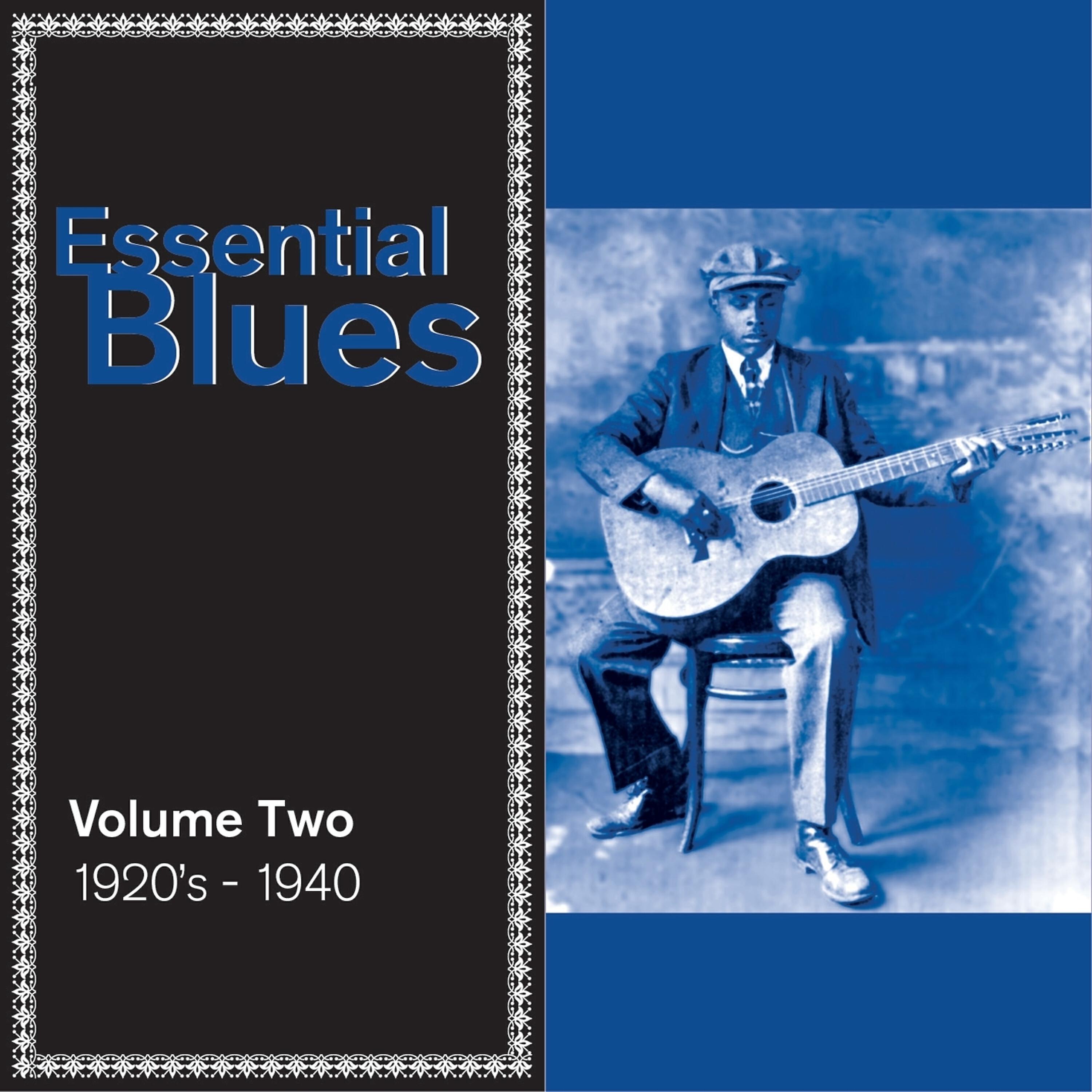 Barbecue Bob - Black Skunk Blues