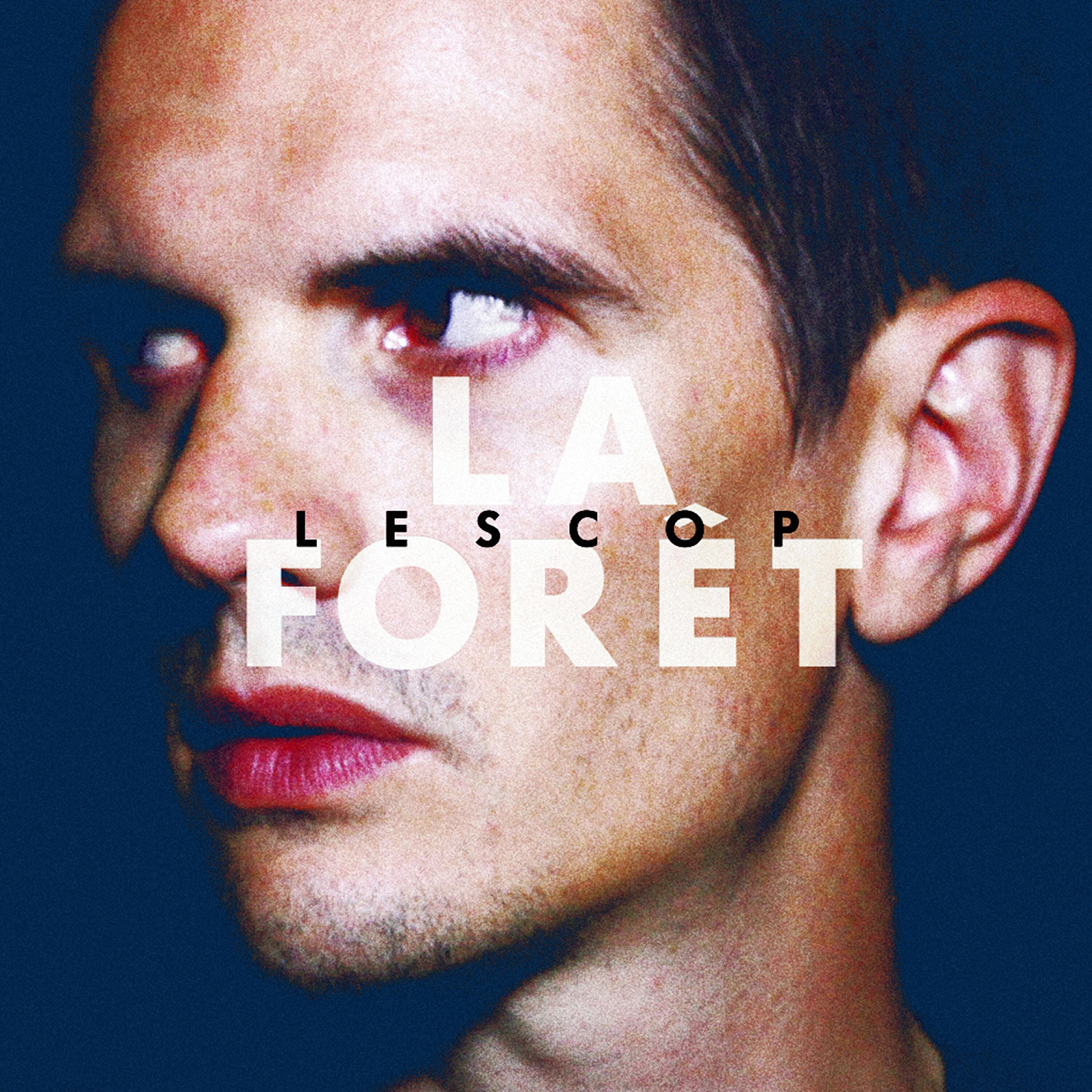Lescop - La forêt