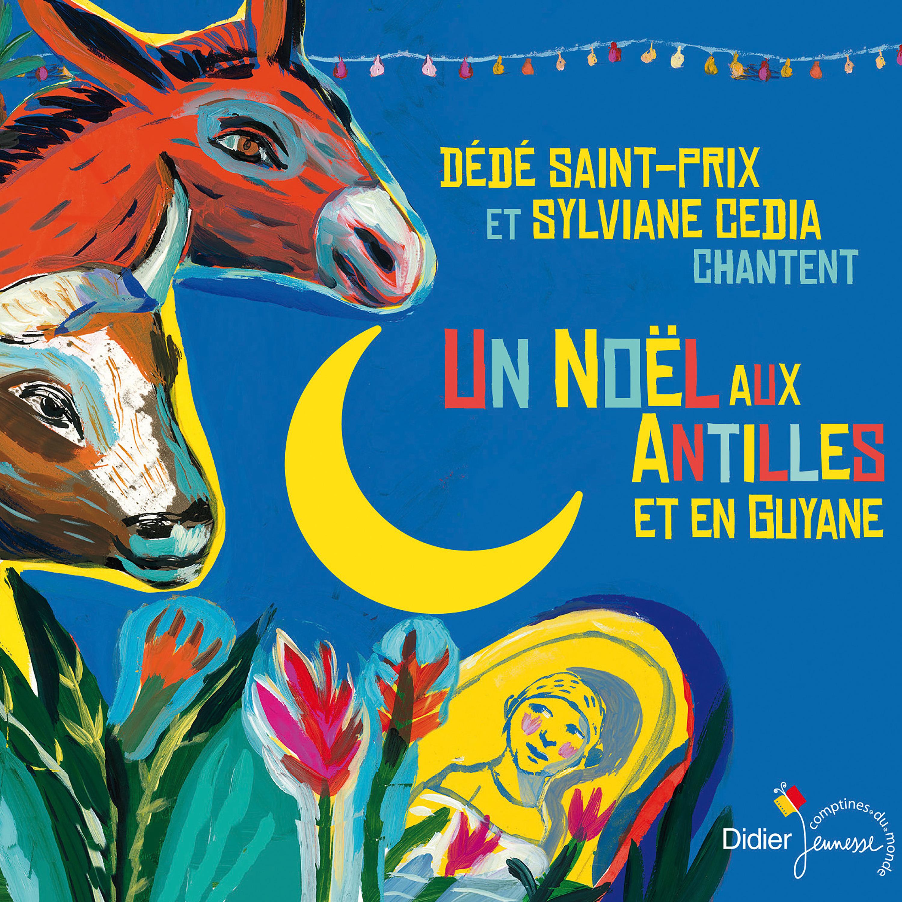 Постер альбома Un Noël aux Antilles et en Guyane