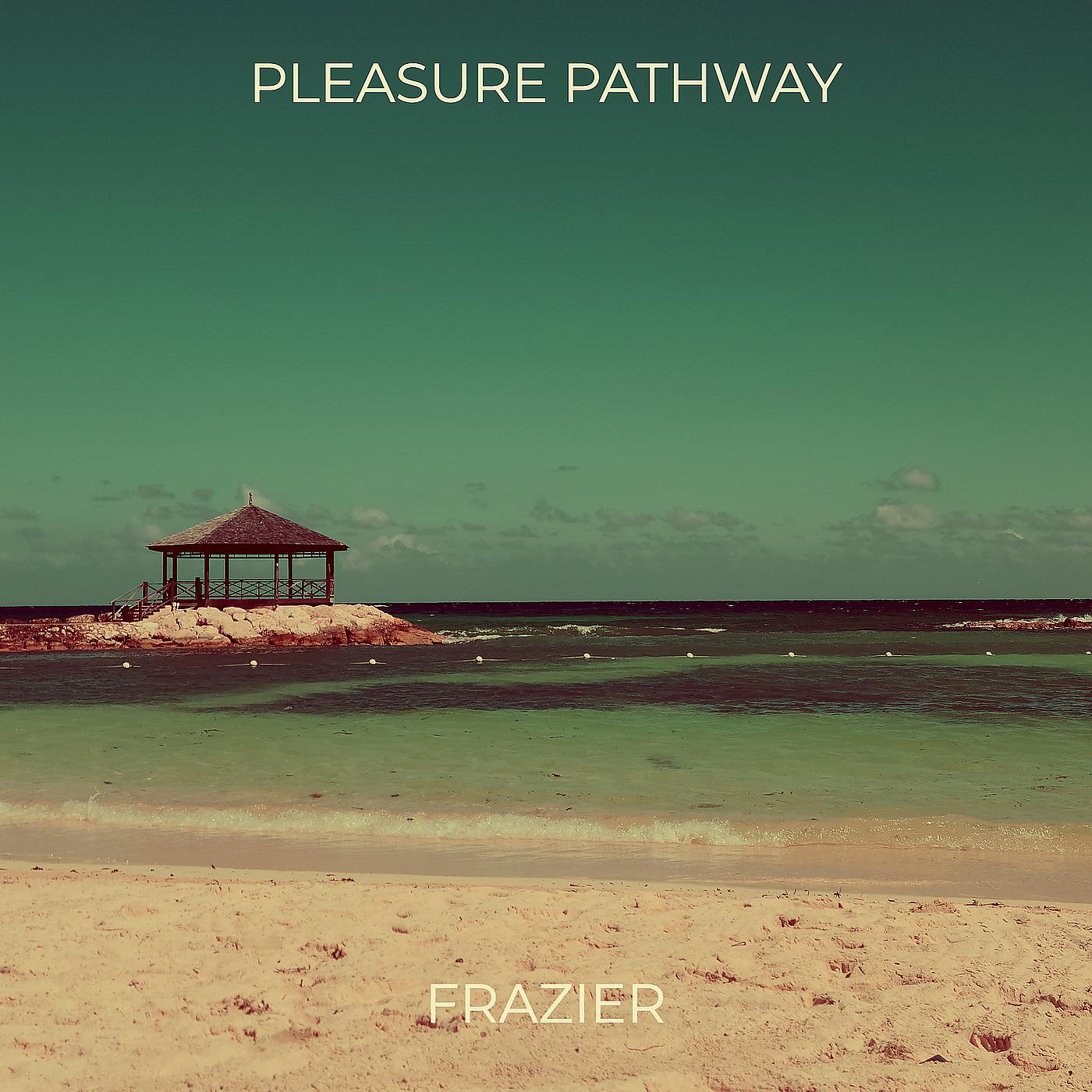 Постер альбома Pleasure Pathway