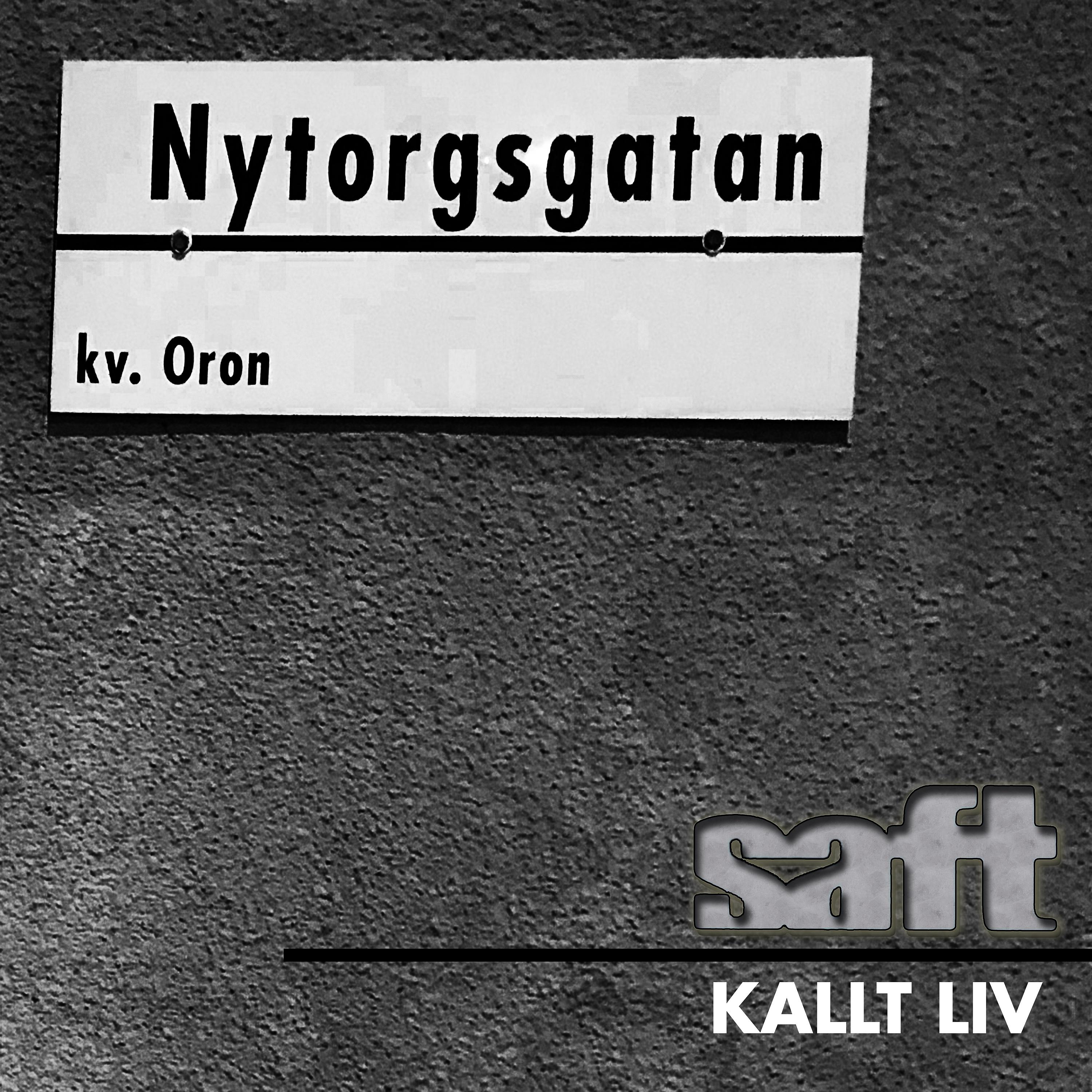 Постер альбома Kallt Liv