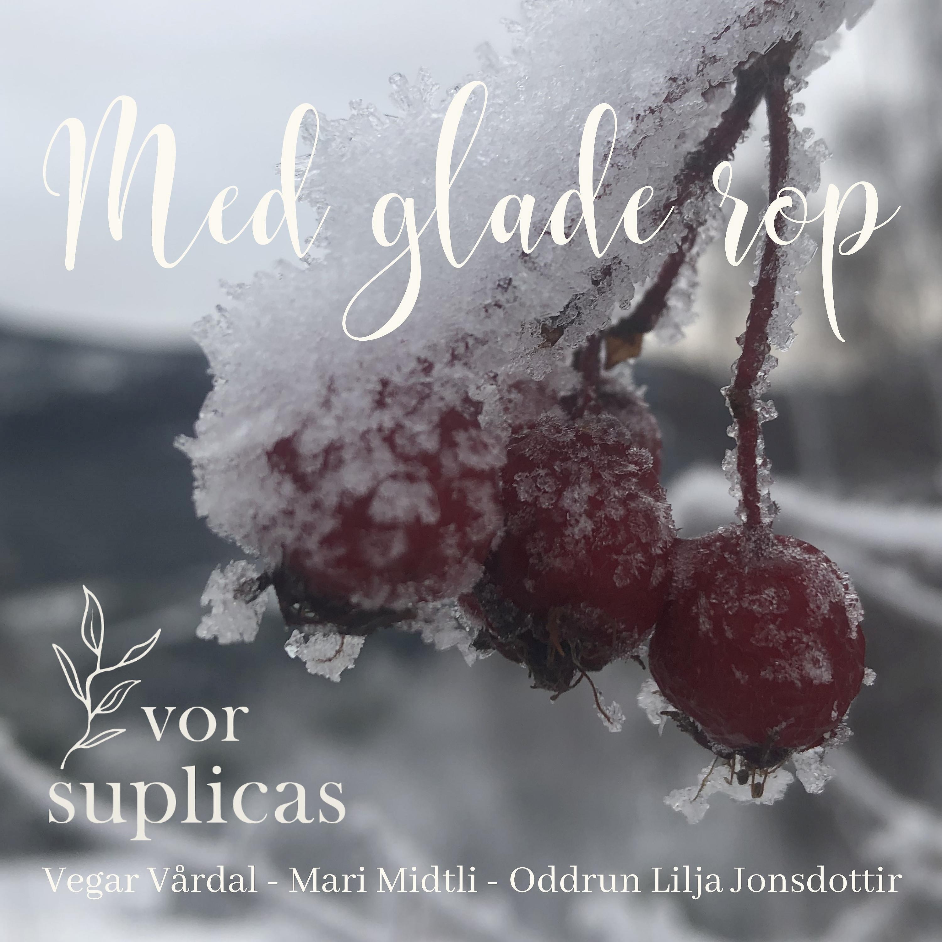 Постер альбома Med glade rop