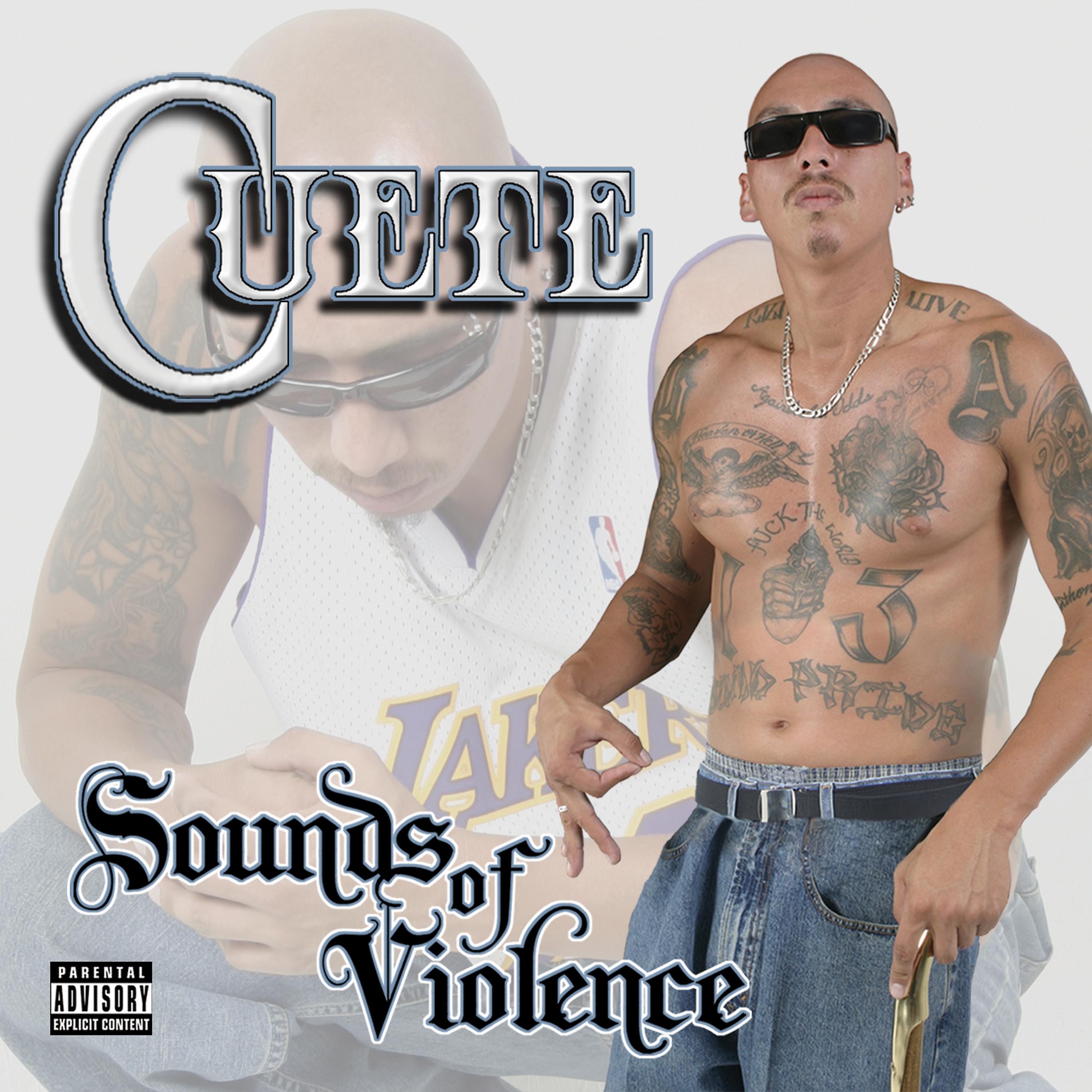 Постер альбома Sounds of Violence