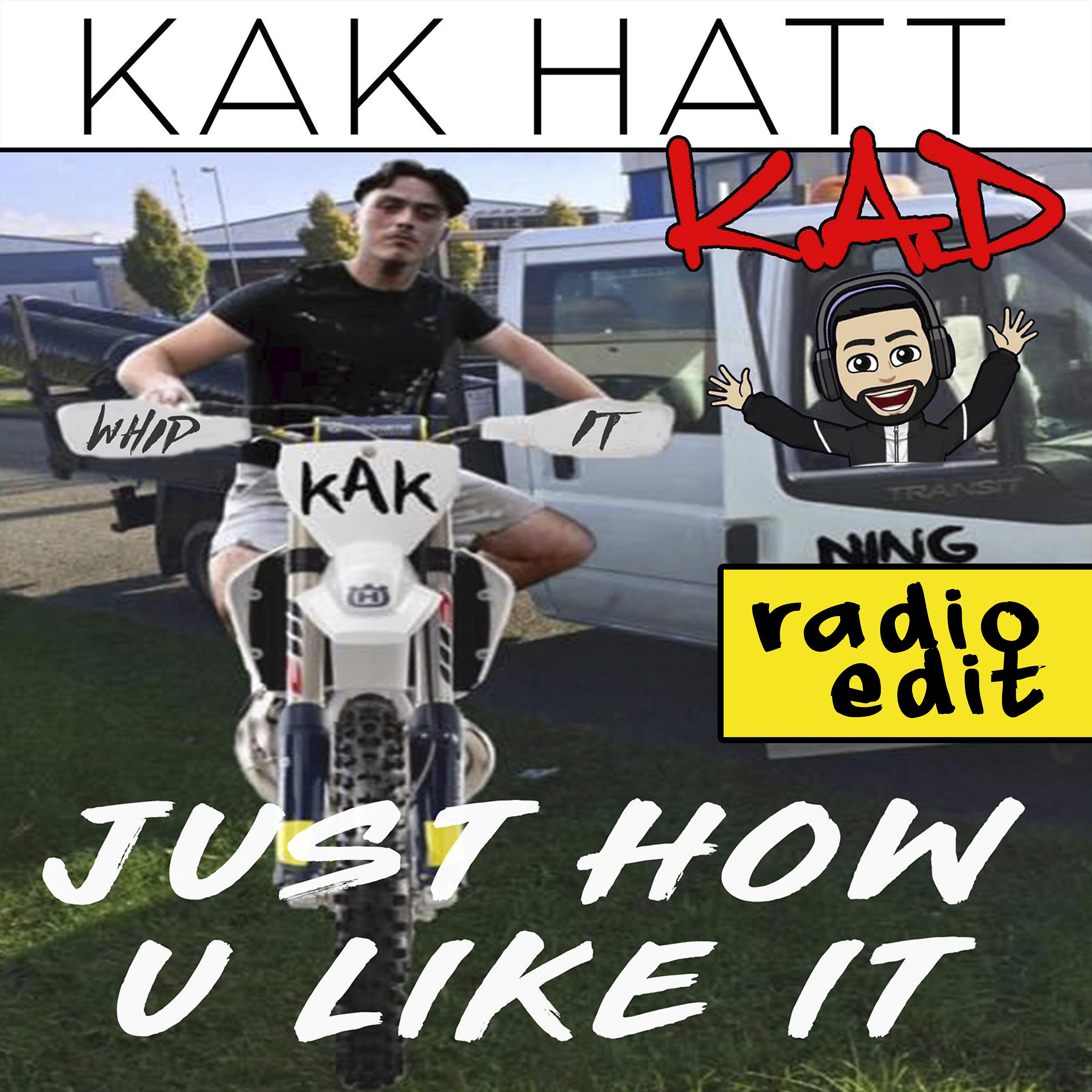 Постер альбома Just How You Like It (Radio Edit)