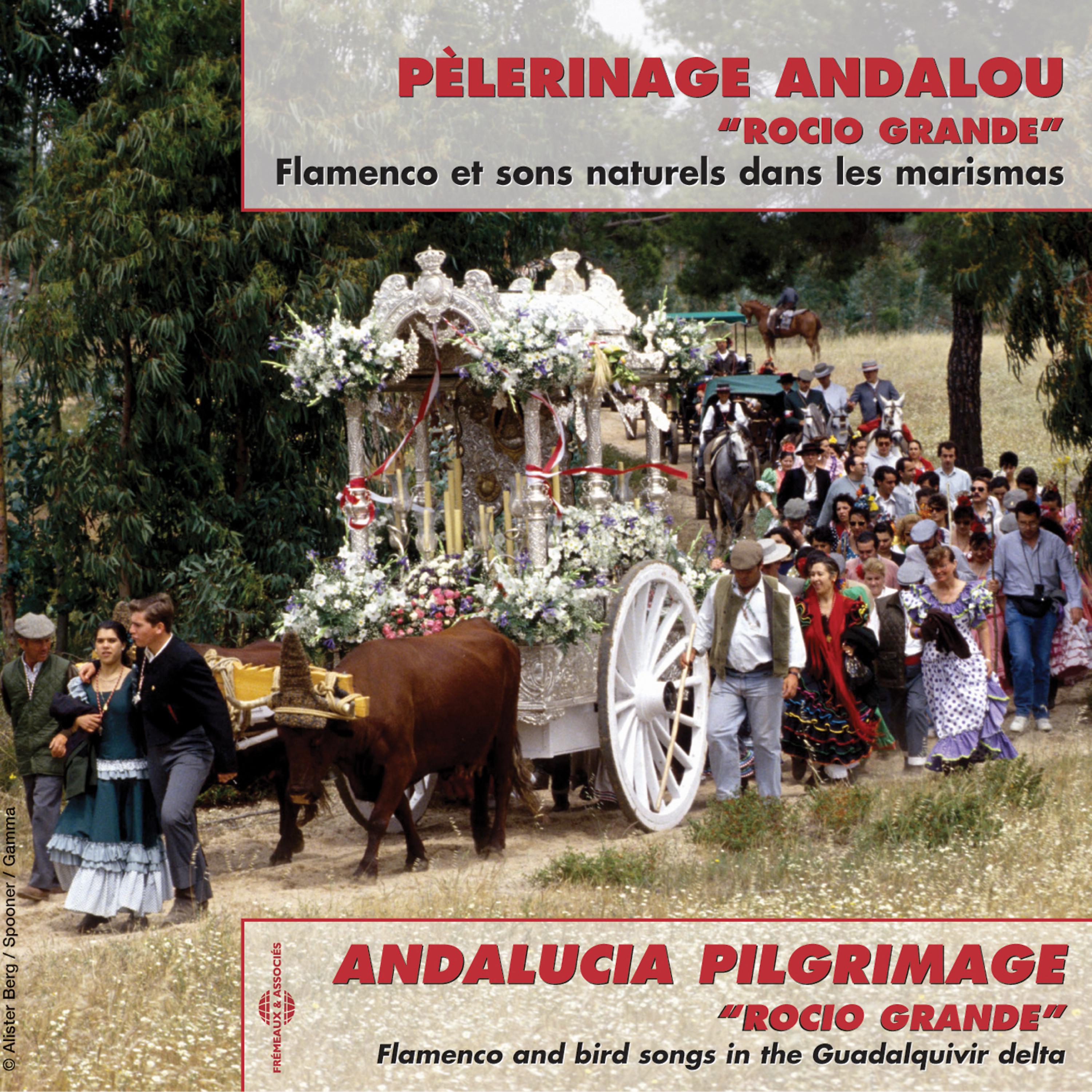 Постер альбома Andalucian Pilgrimage "Rocio Grande"