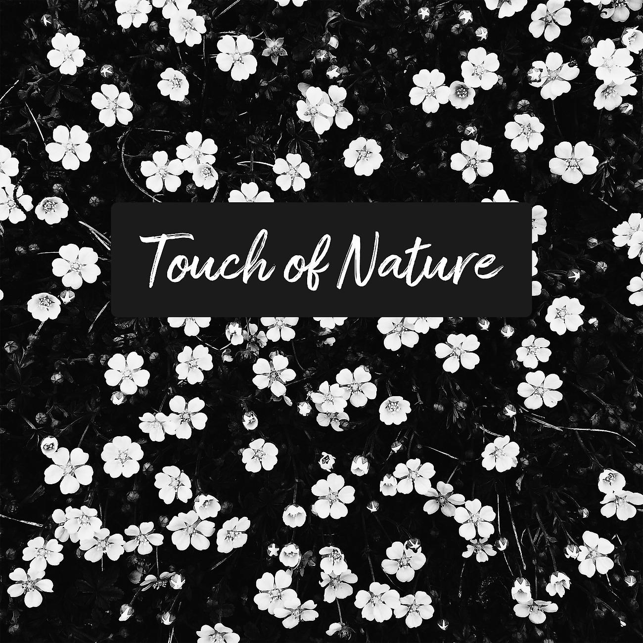 Постер альбома Touch of Nature