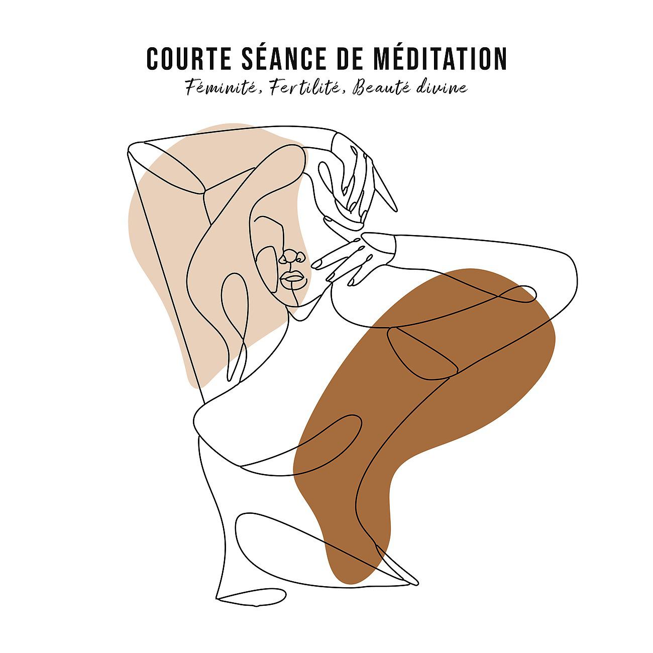 Постер альбома Courte séance de méditation