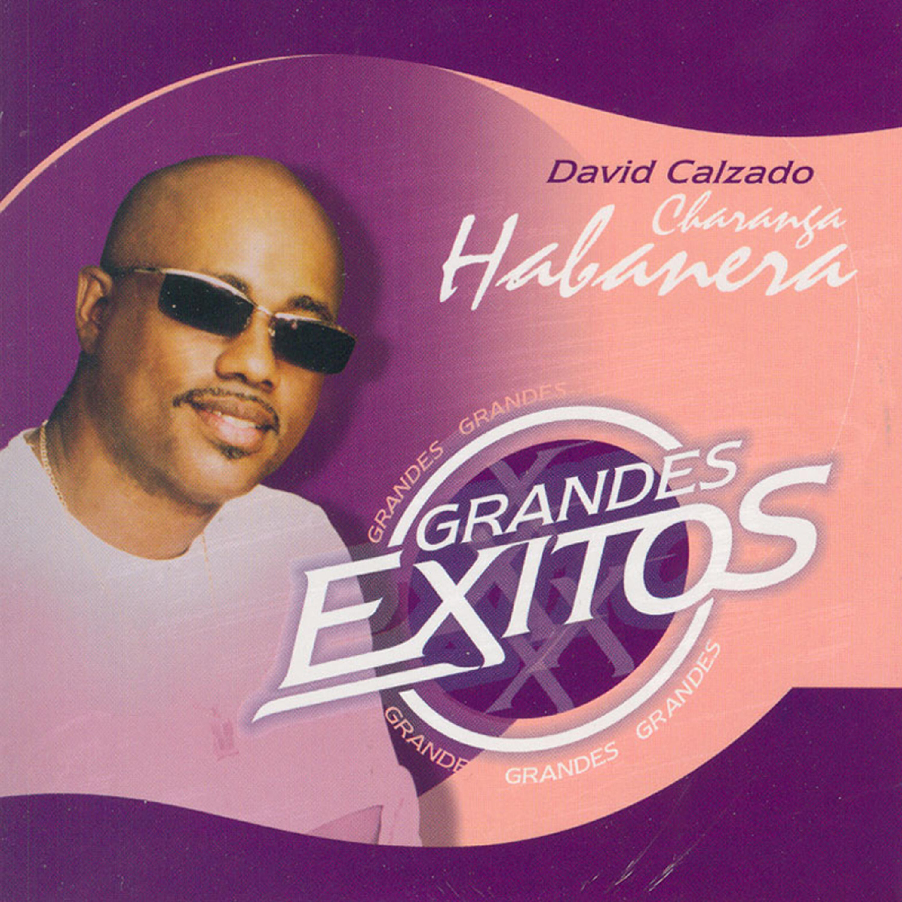 David Calzado - No estamos locos