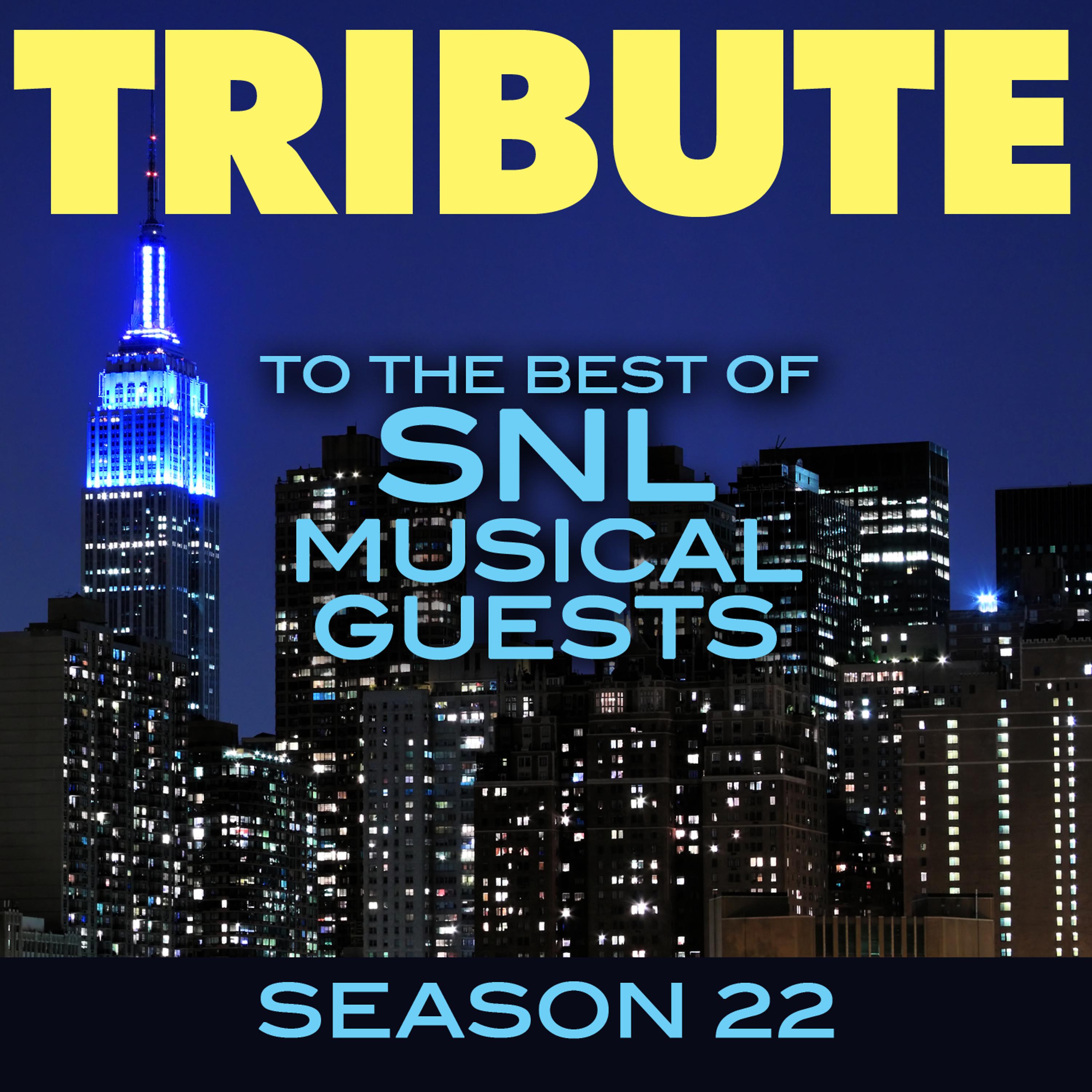 Постер альбома Tribute to the Best of SNL Musical Guests Season 22