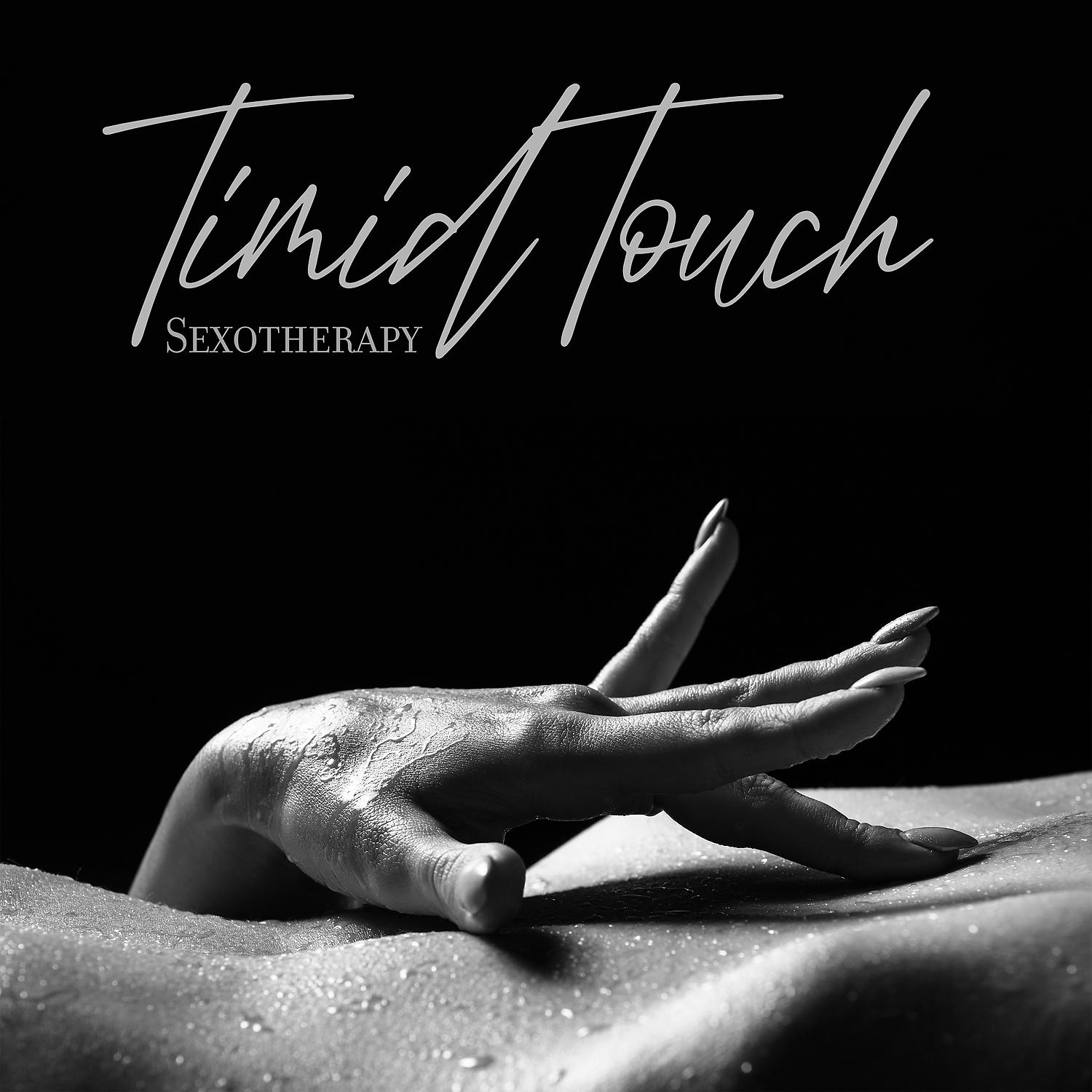 Постер альбома Timid Touch: Sexotherapy, Sexual Healing Yoga, Gentle Massage, Intimate Fantasies, Therapy Sounds, Sensual Spa Music
