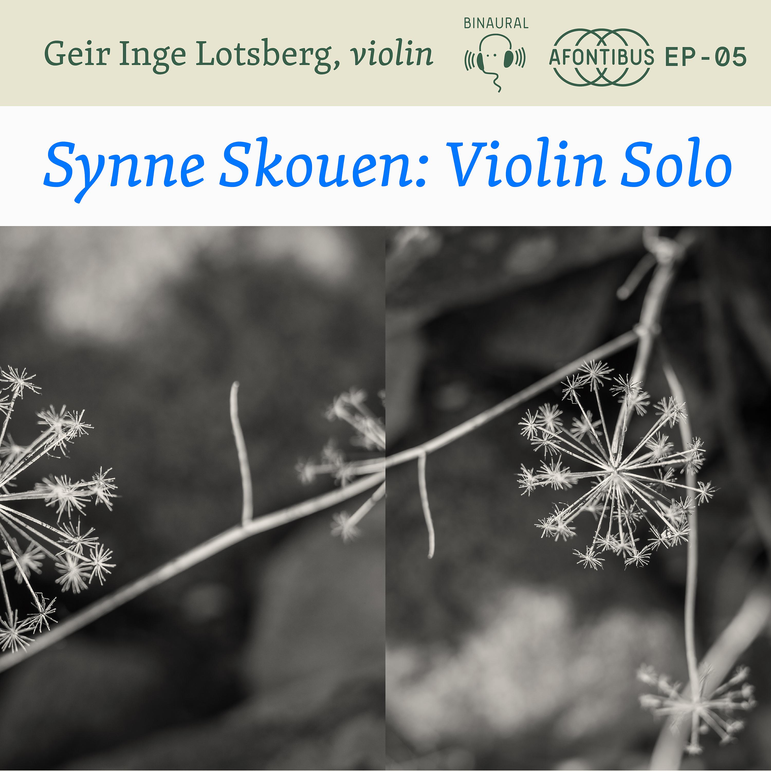 Постер альбома Synne Skouen: Violin Solo