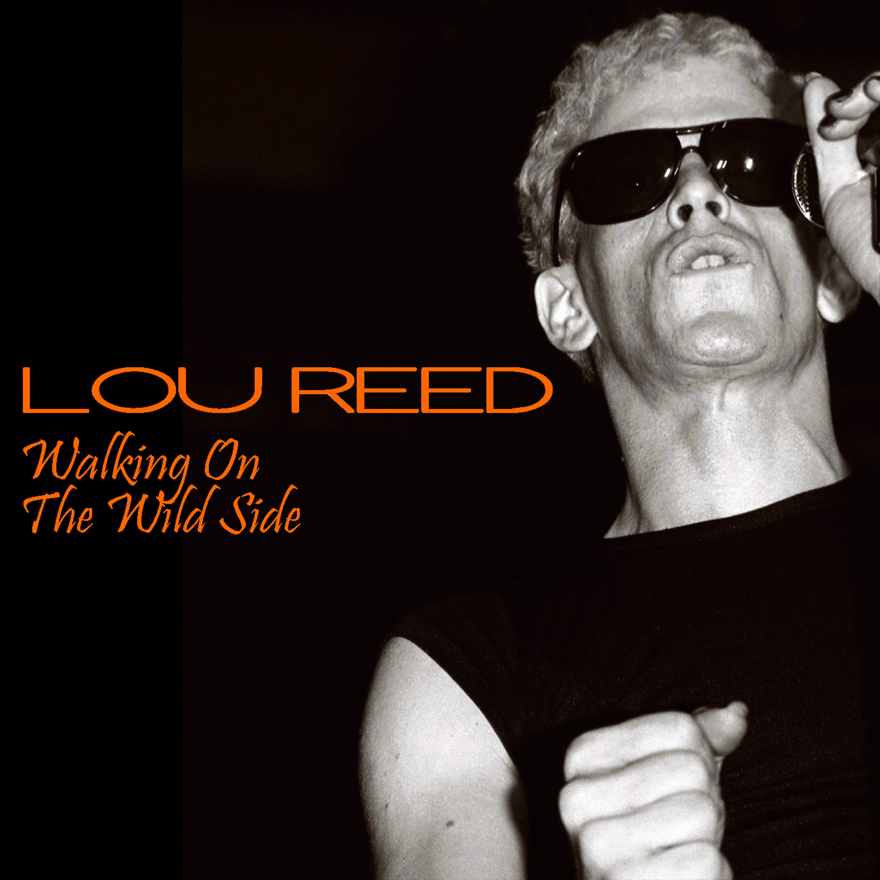 Lou Reed - Interview with Lou Reed
