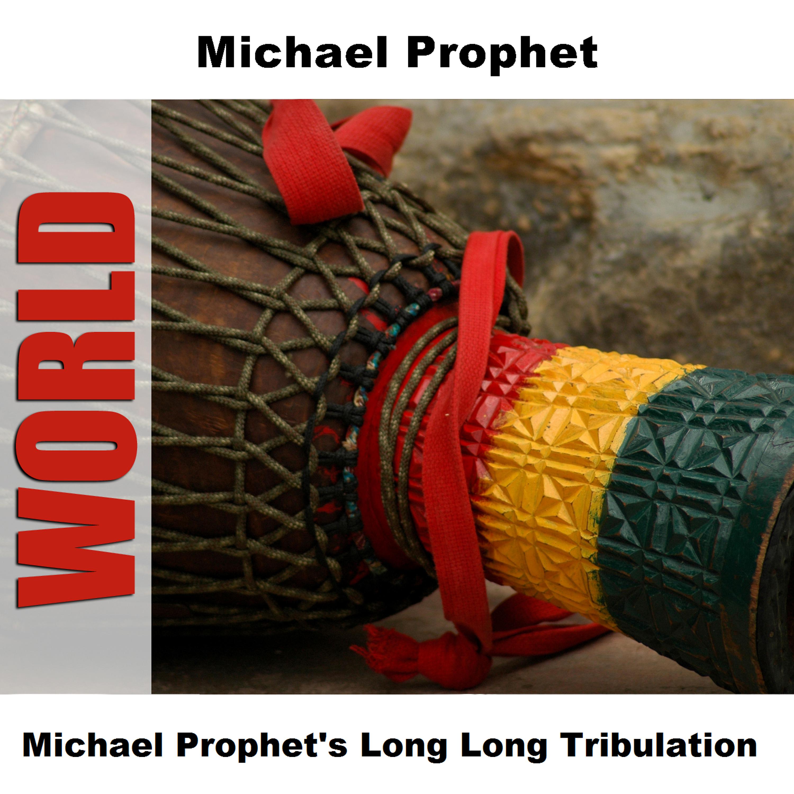 Постер альбома Michael Prophet's Long Long Tribulation